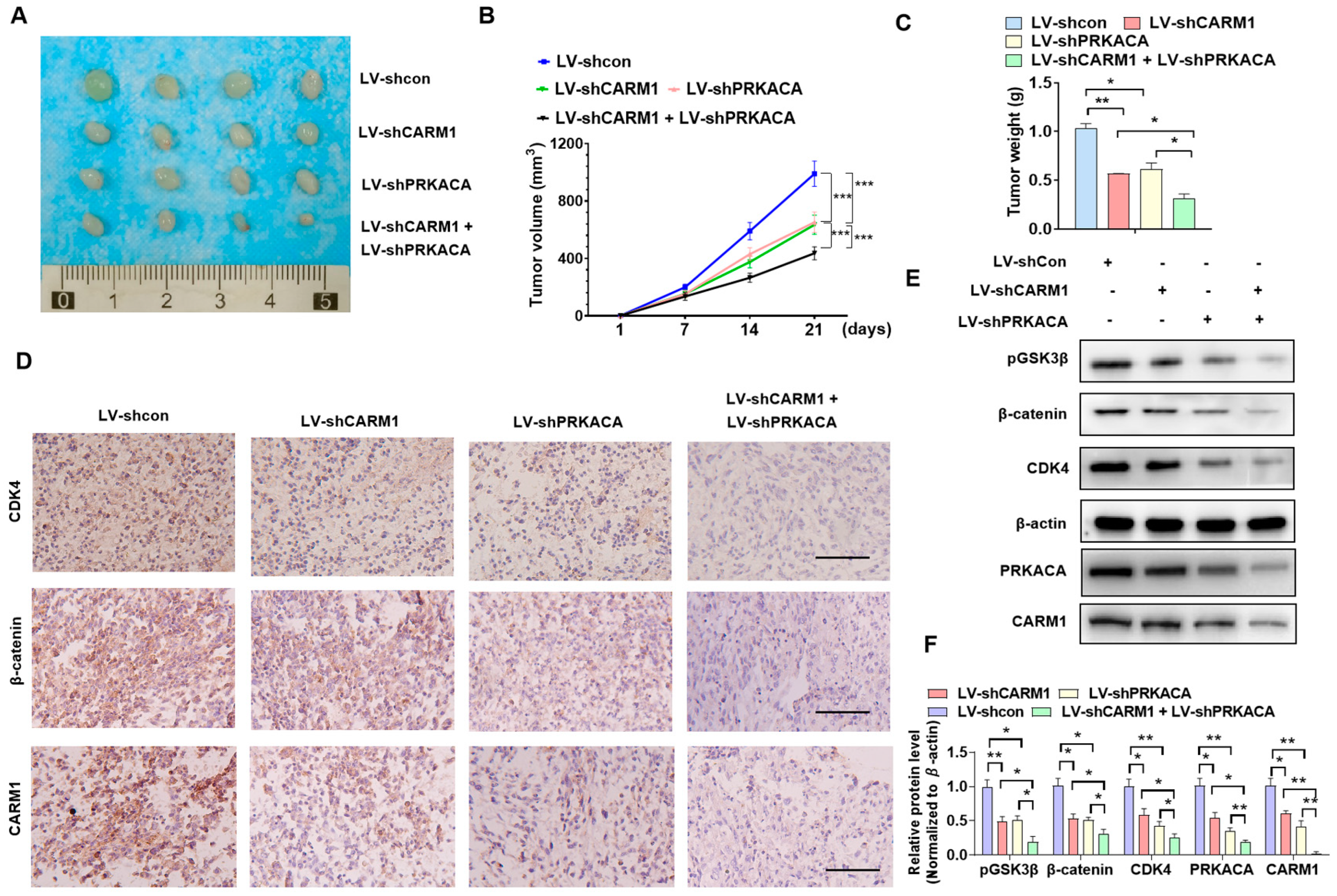 Cancers 16 00139 g007