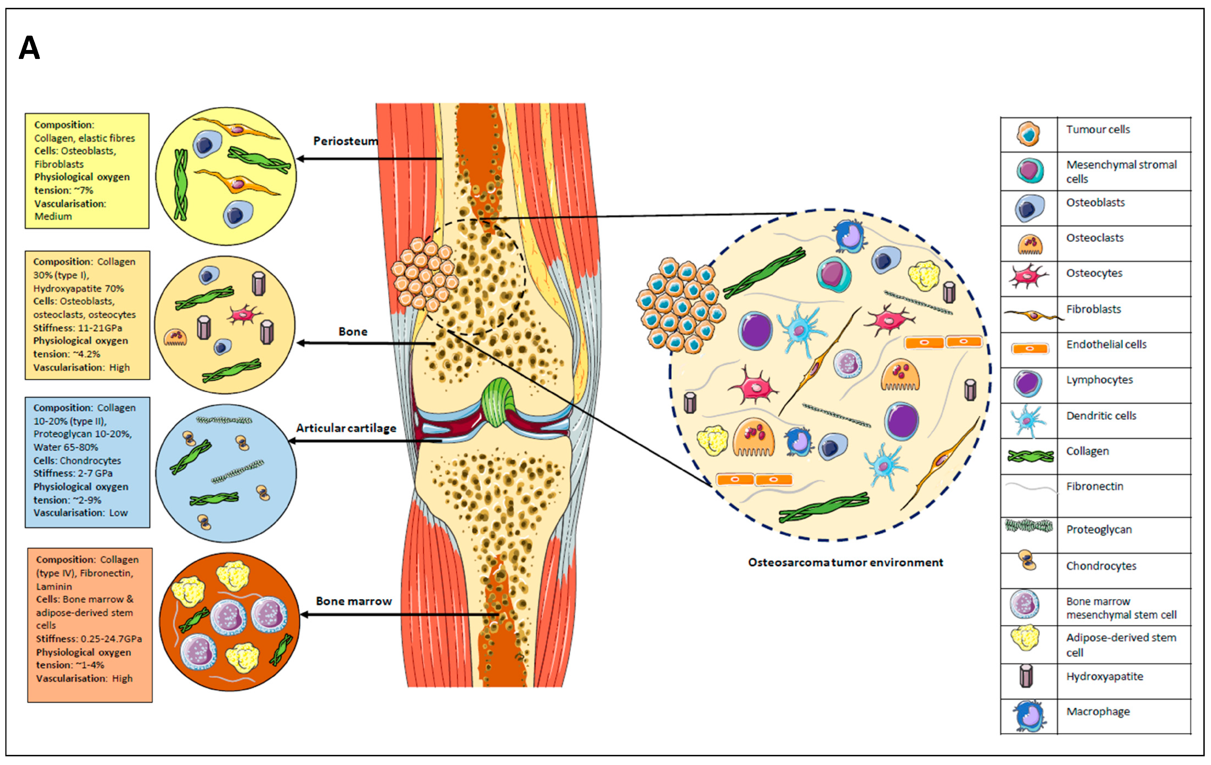 Cancers 16 00164 g001a