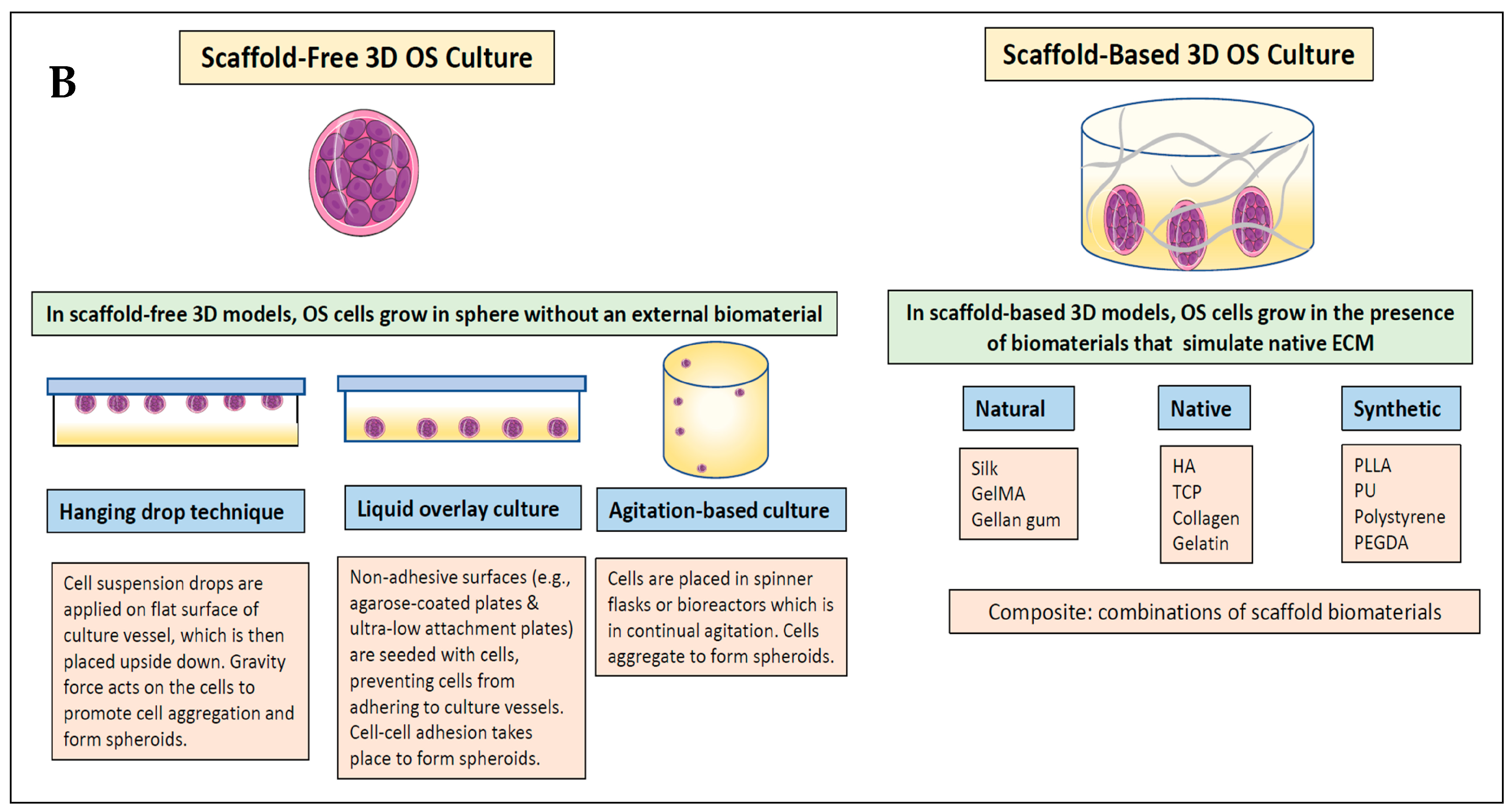 Cancers 16 00164 g001b