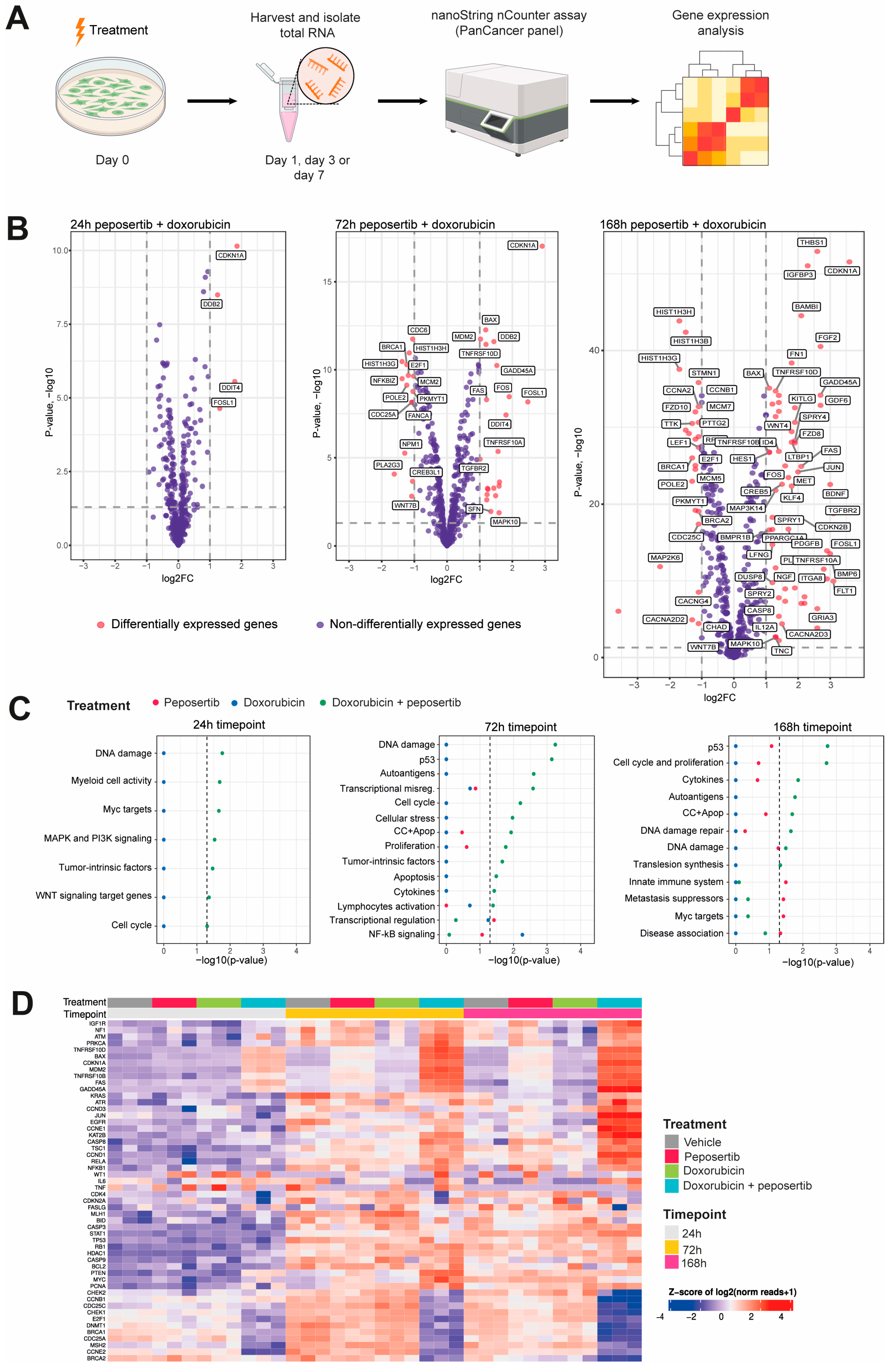 Cancers 16 00189 g003