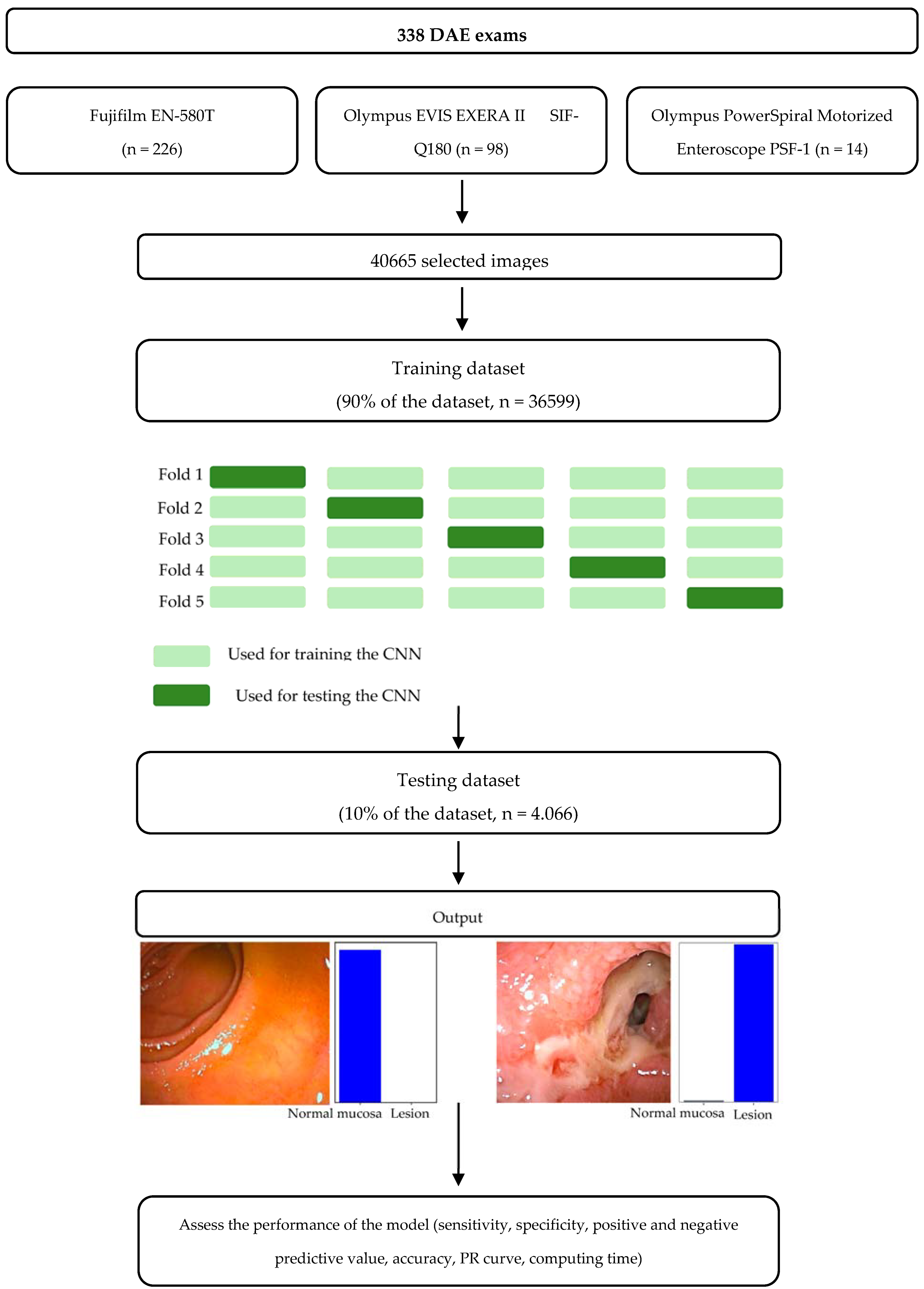 Cancers 16 00208 g001