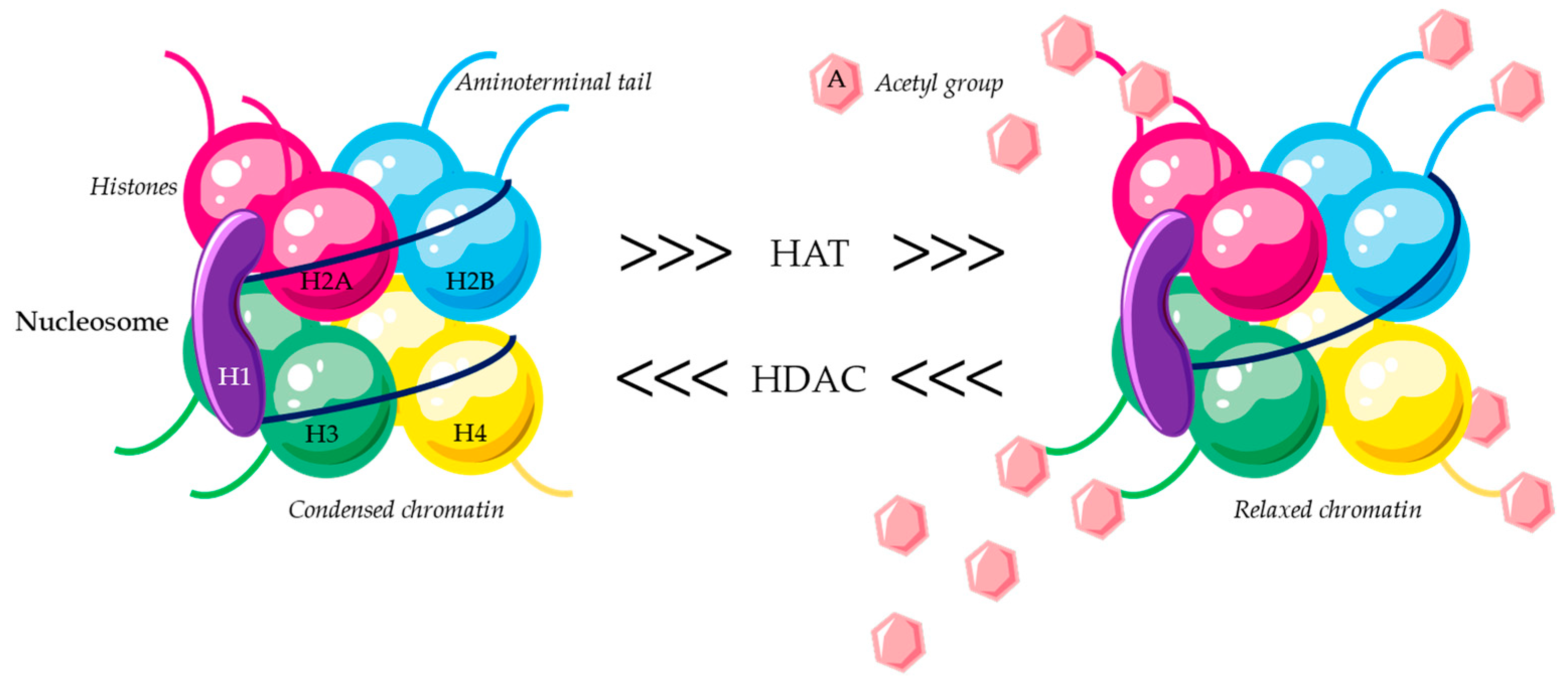 Cancers 16 00209 g001