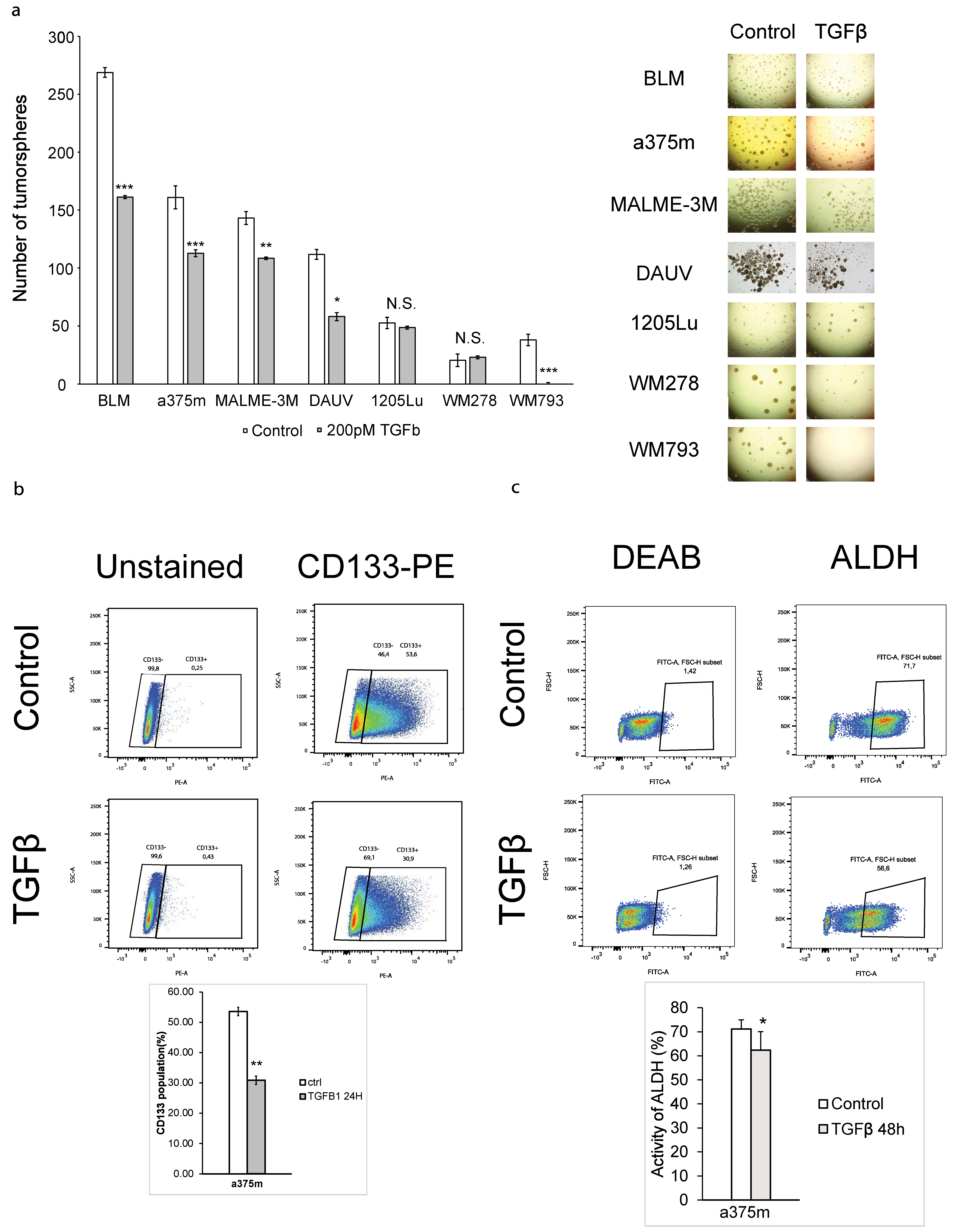 Cancers 16 00224 g001 Cancers 16 00224 g001