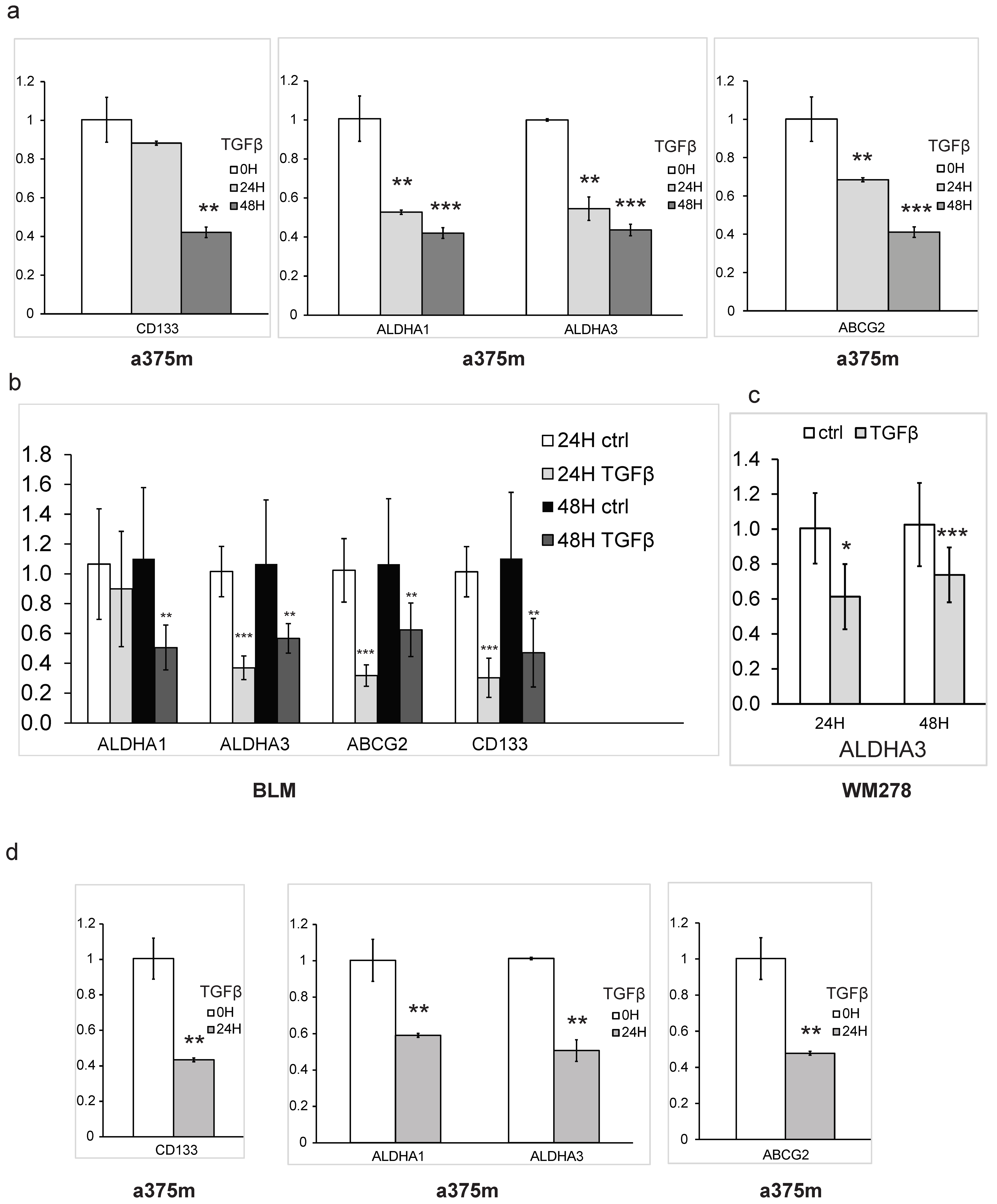 Cancers 16 00224 g002 Cancers 16 00224 g002