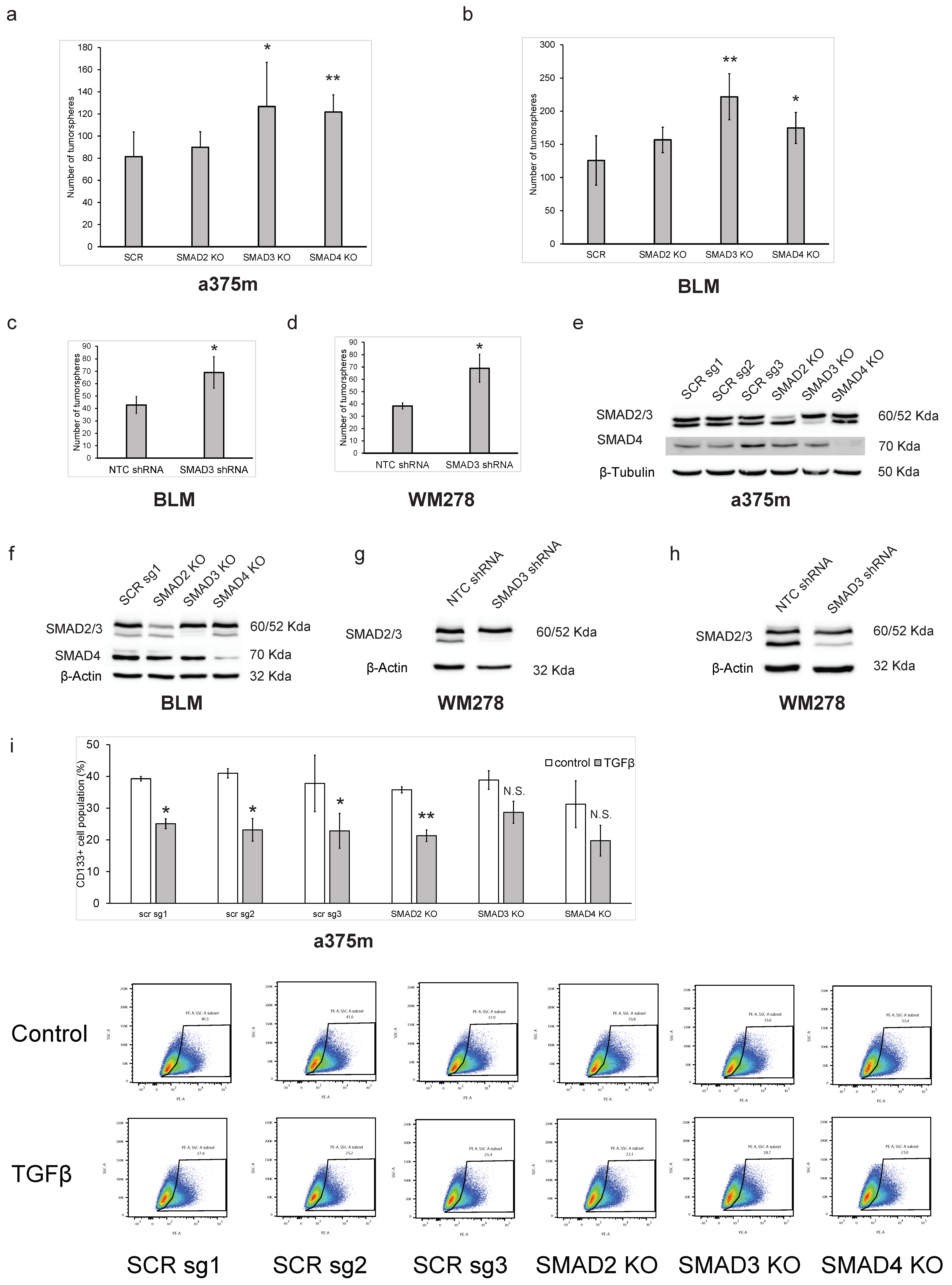 Cancers 16 00224 g003 Cancers 16 00224 g003