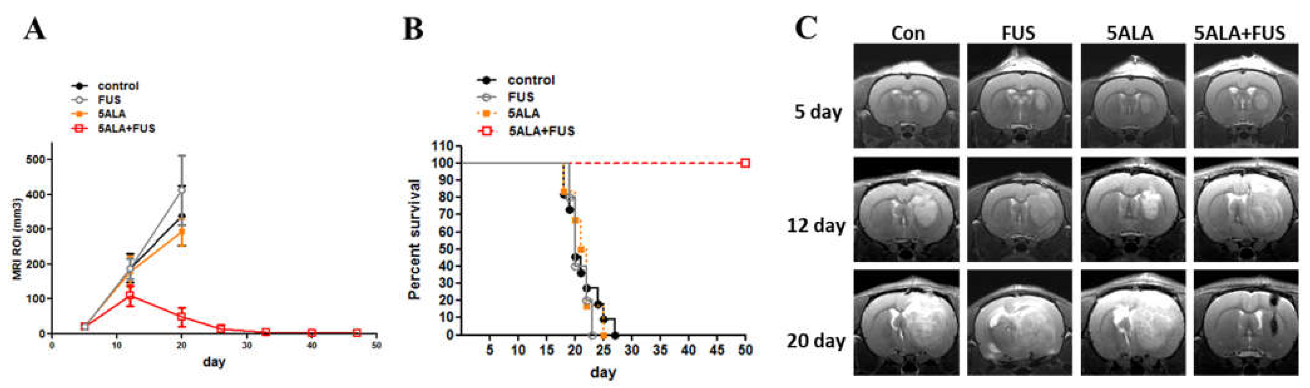 Cancers 16 00253 g004 Cancers 16 00253 g004