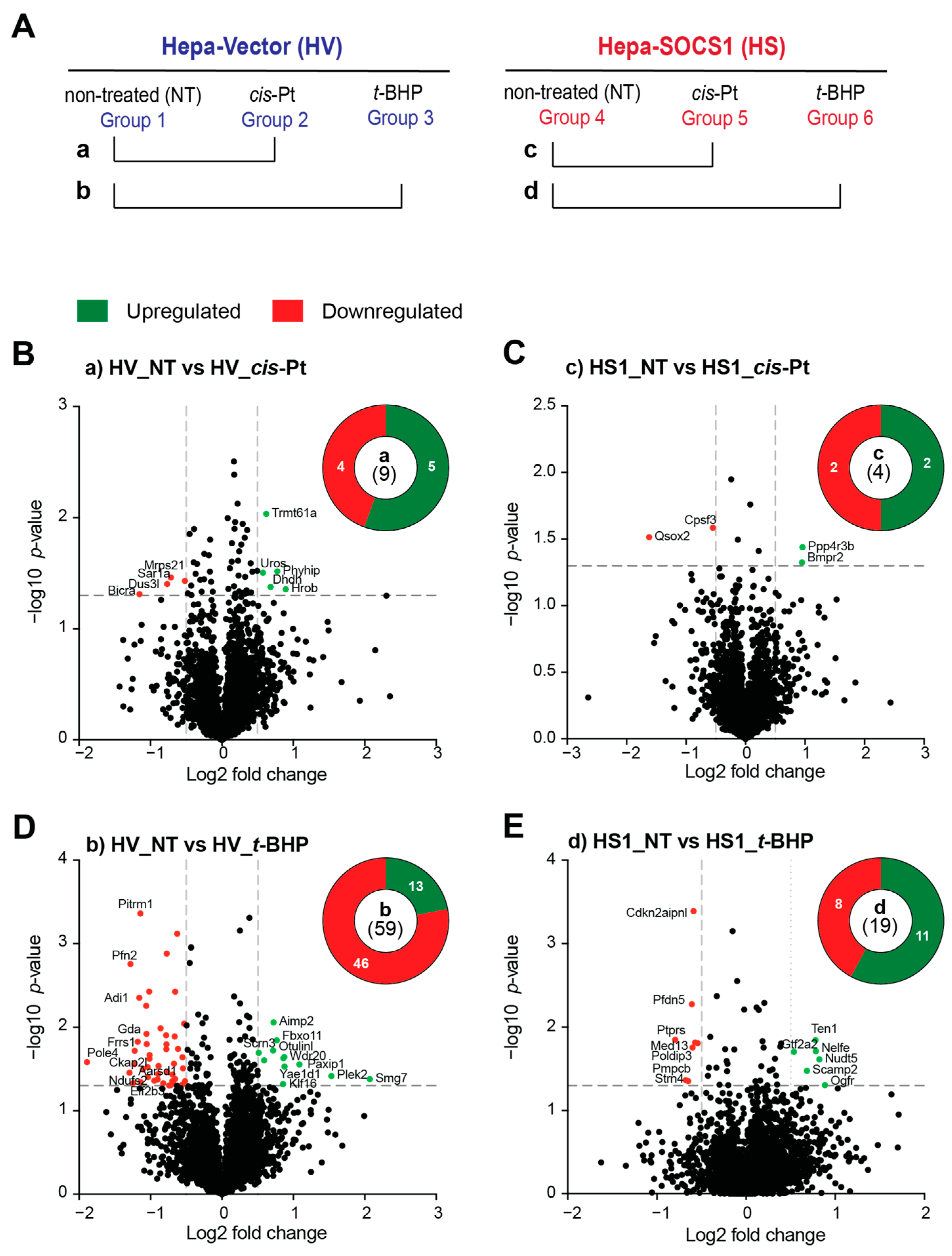 Cancers 16 00292 g006 Cancers 16 00292 g006