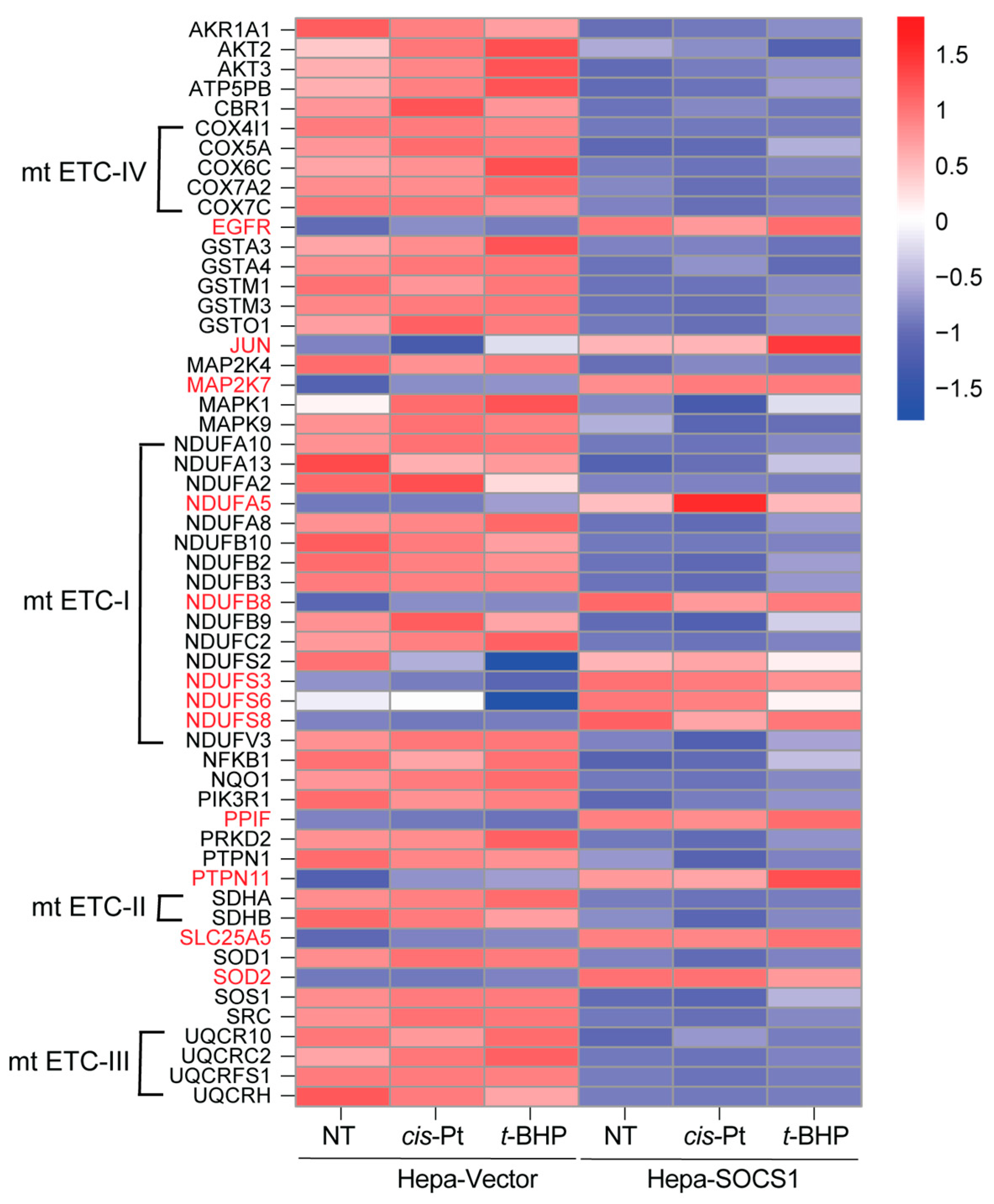 Cancers 16 00292 g010 Cancers 16 00292 g010