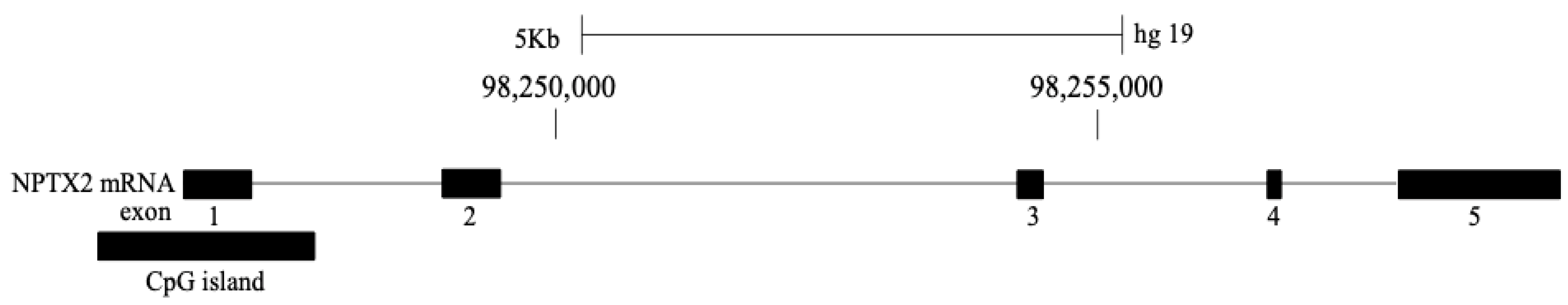 Cancers 16 00329 g001