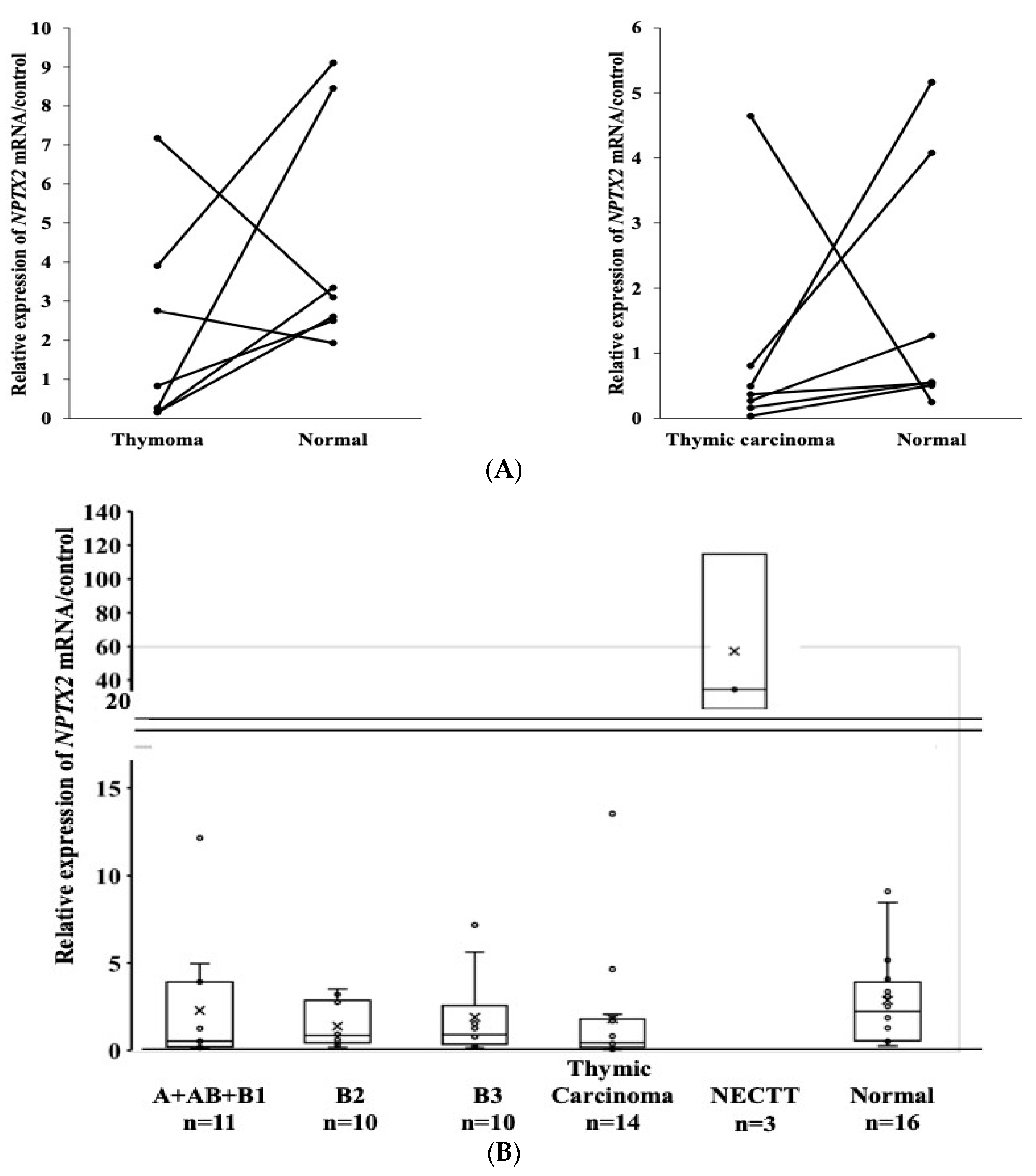 Cancers 16 00329 g004a