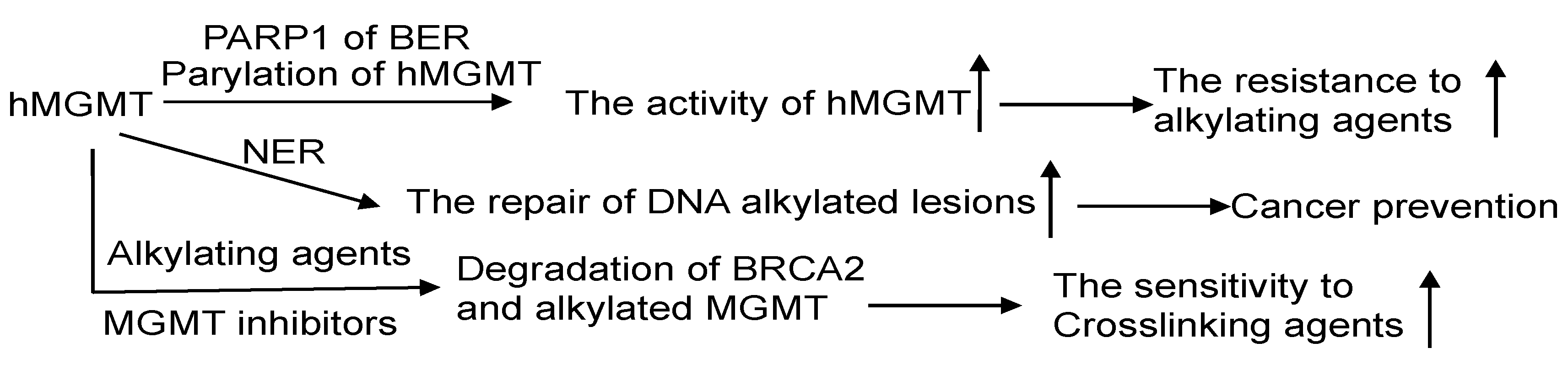 Cancers 16 00331 g006