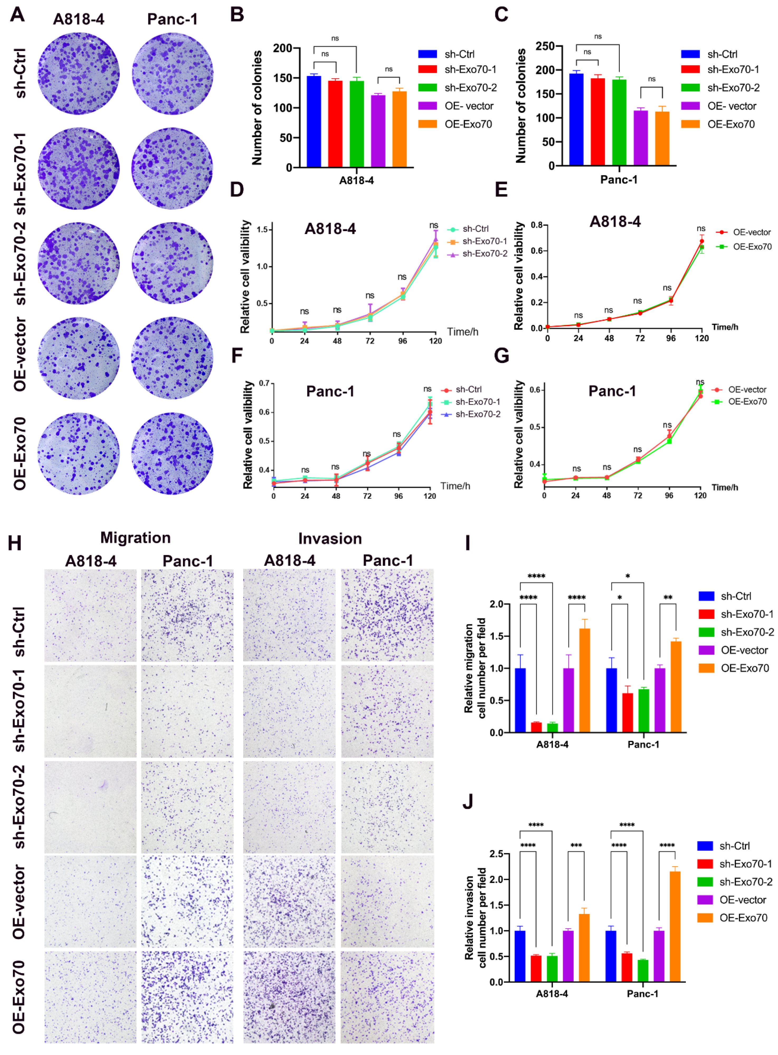 Cancers 16 00336 g002