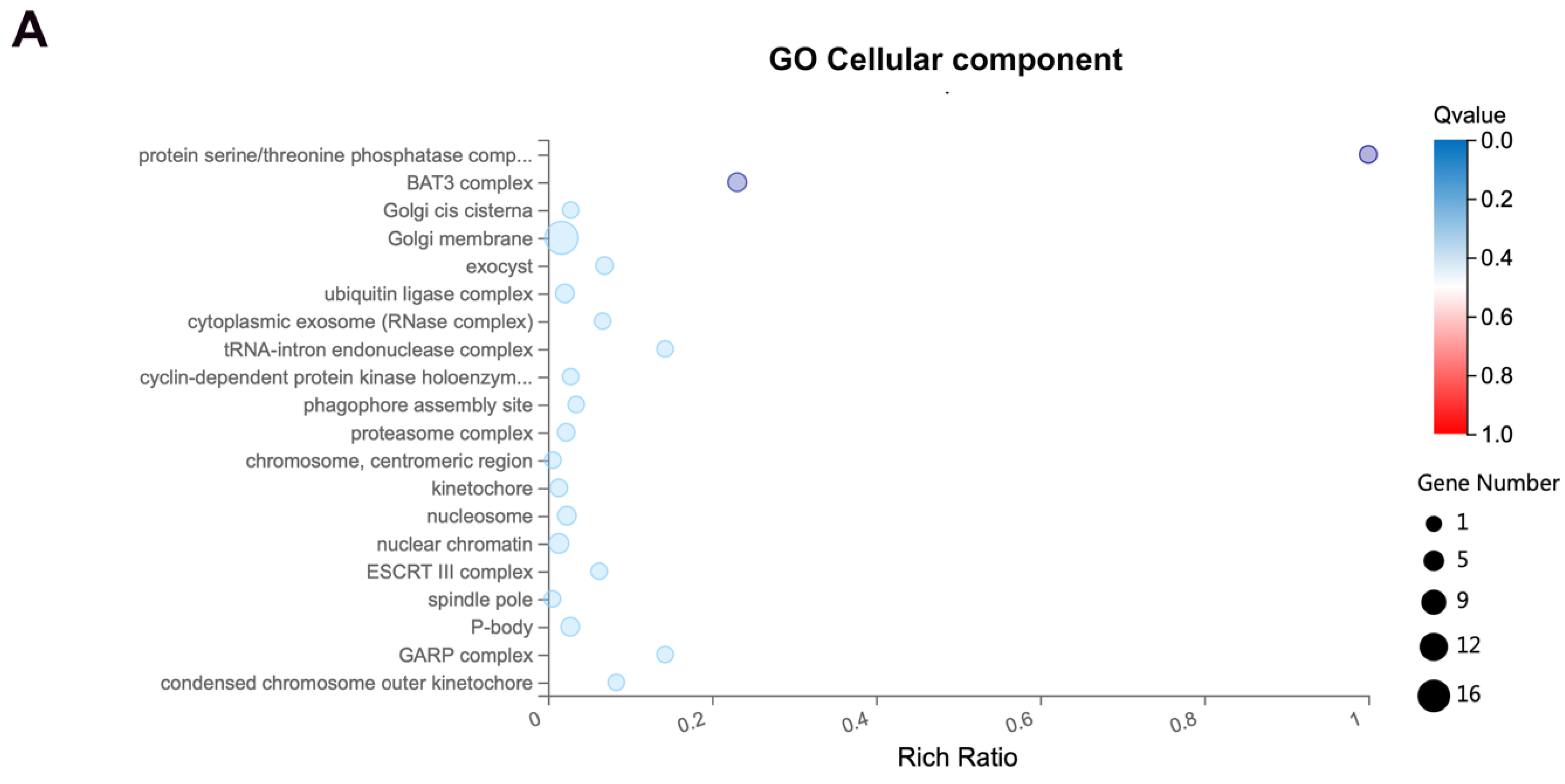 Cancers 16 00336 g003a