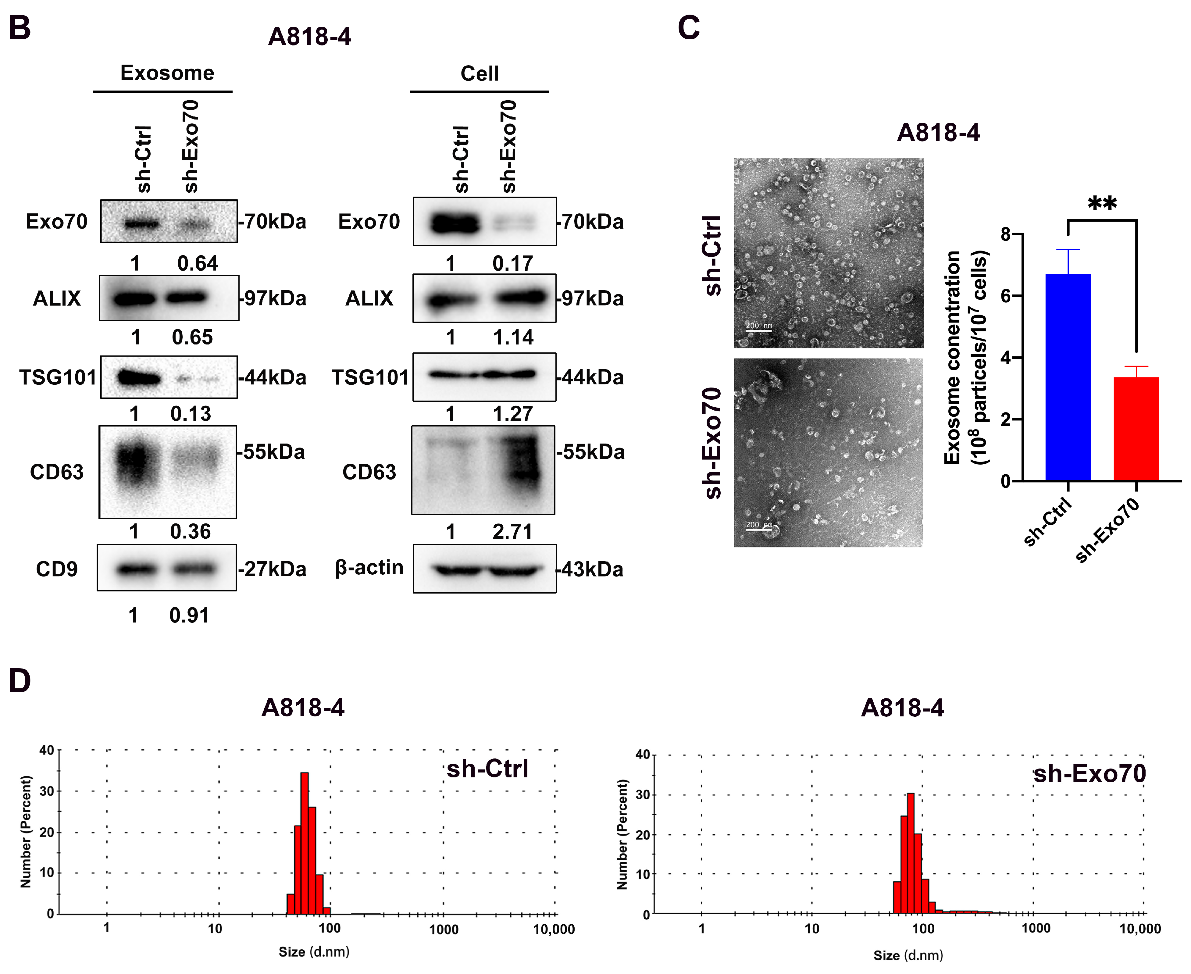 Cancers 16 00336 g003b