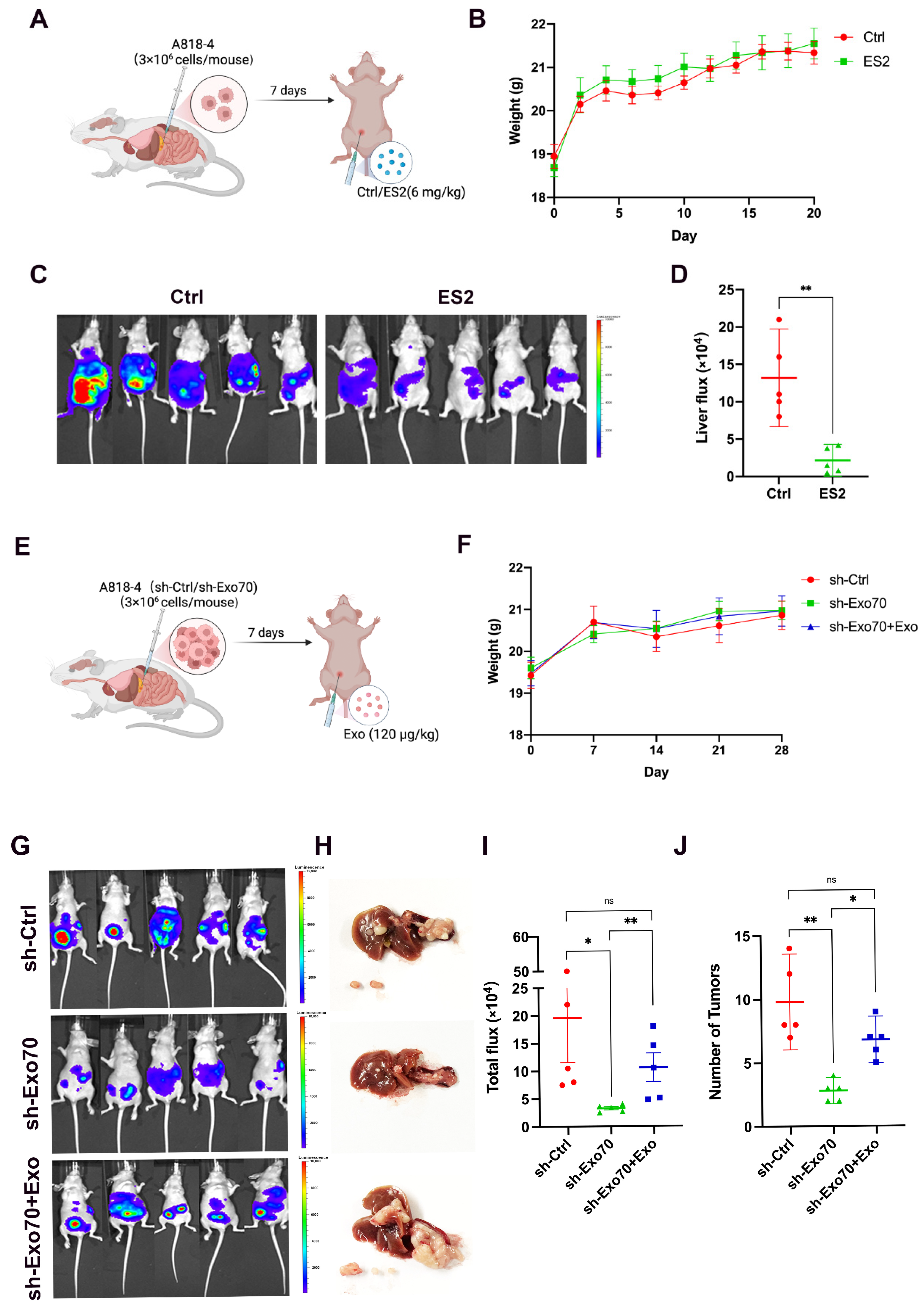 Cancers 16 00336 g006
