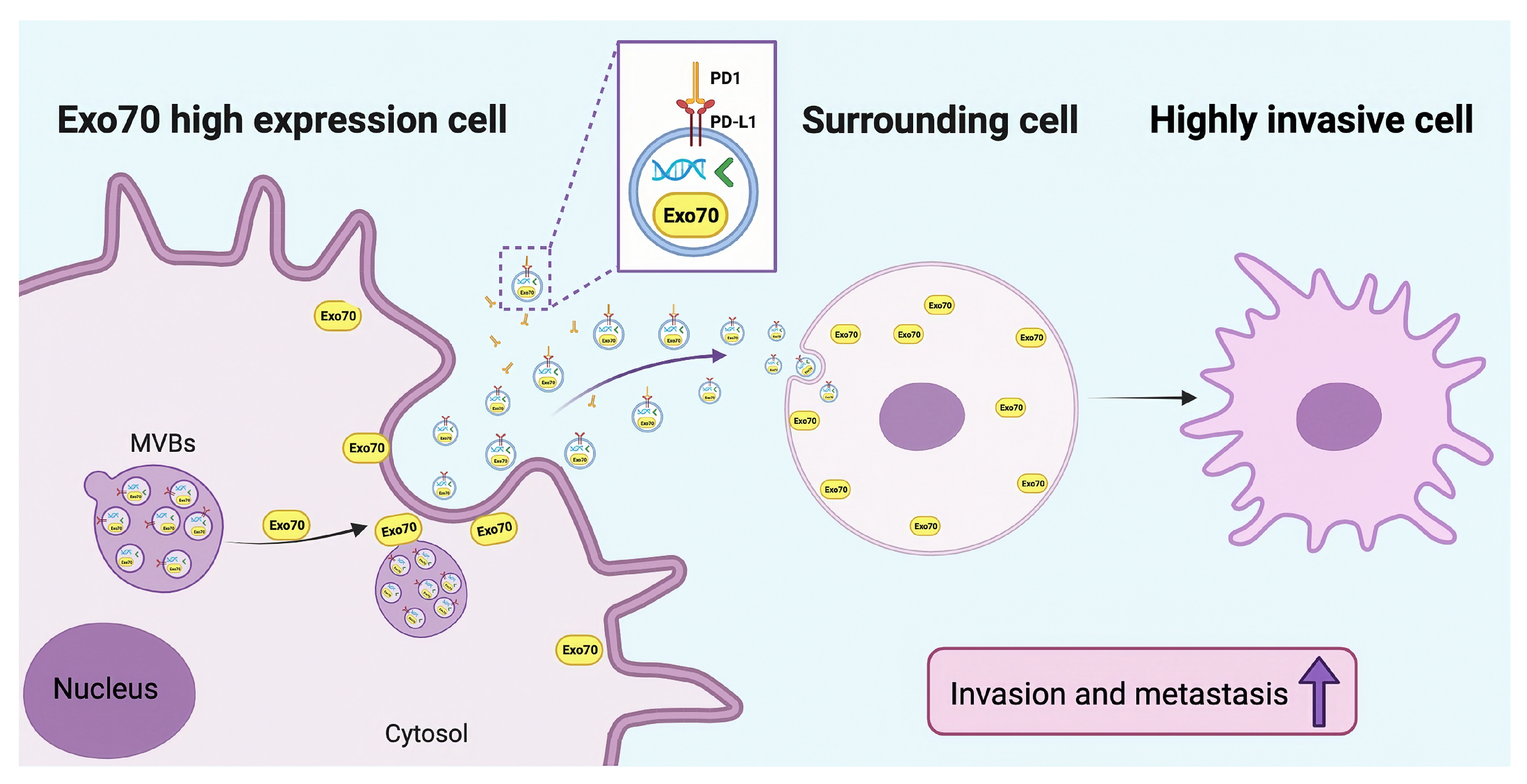Cancers 16 00336 g007