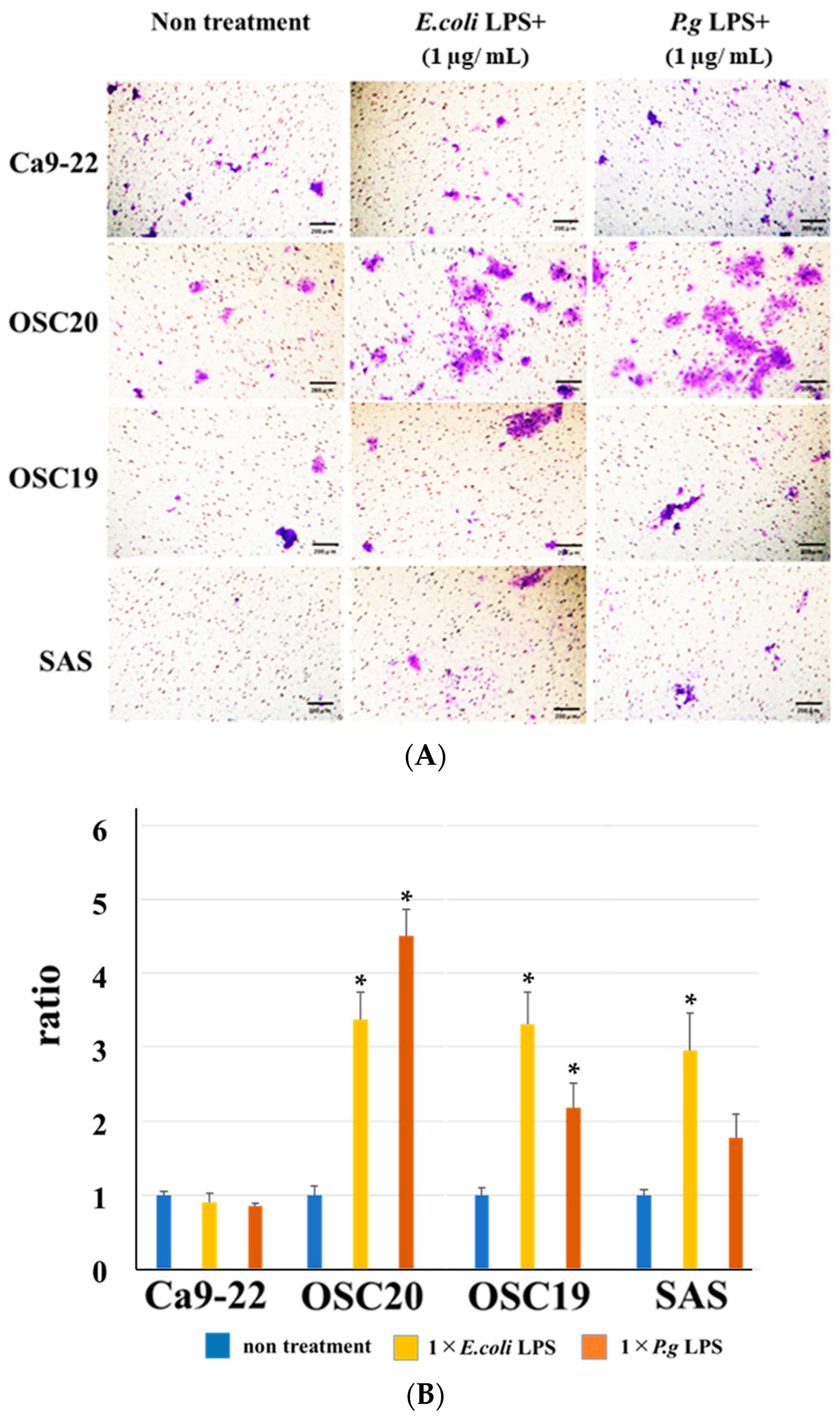 Cancers 16 00343 g008