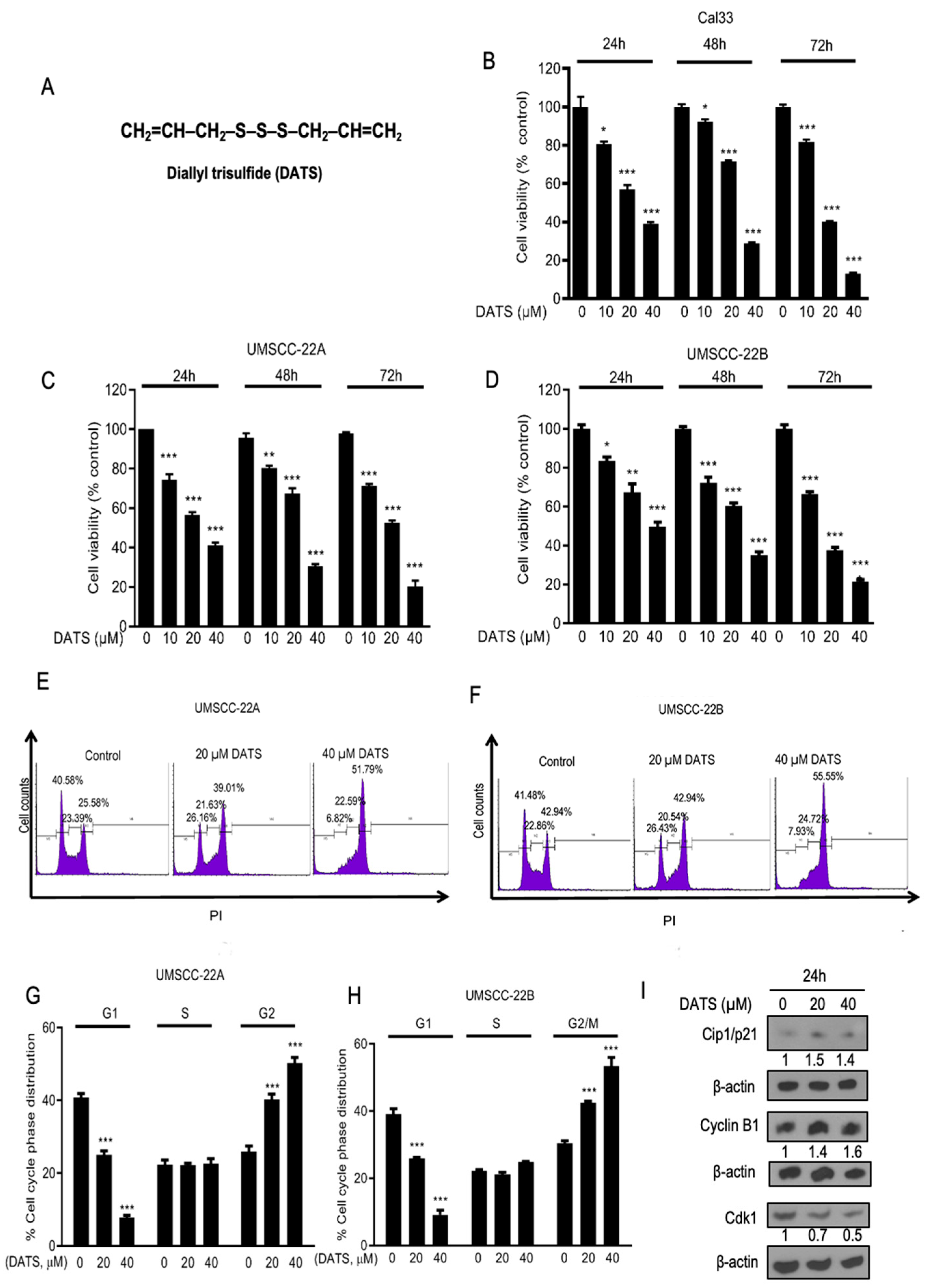 Cancers 16 00378 g001