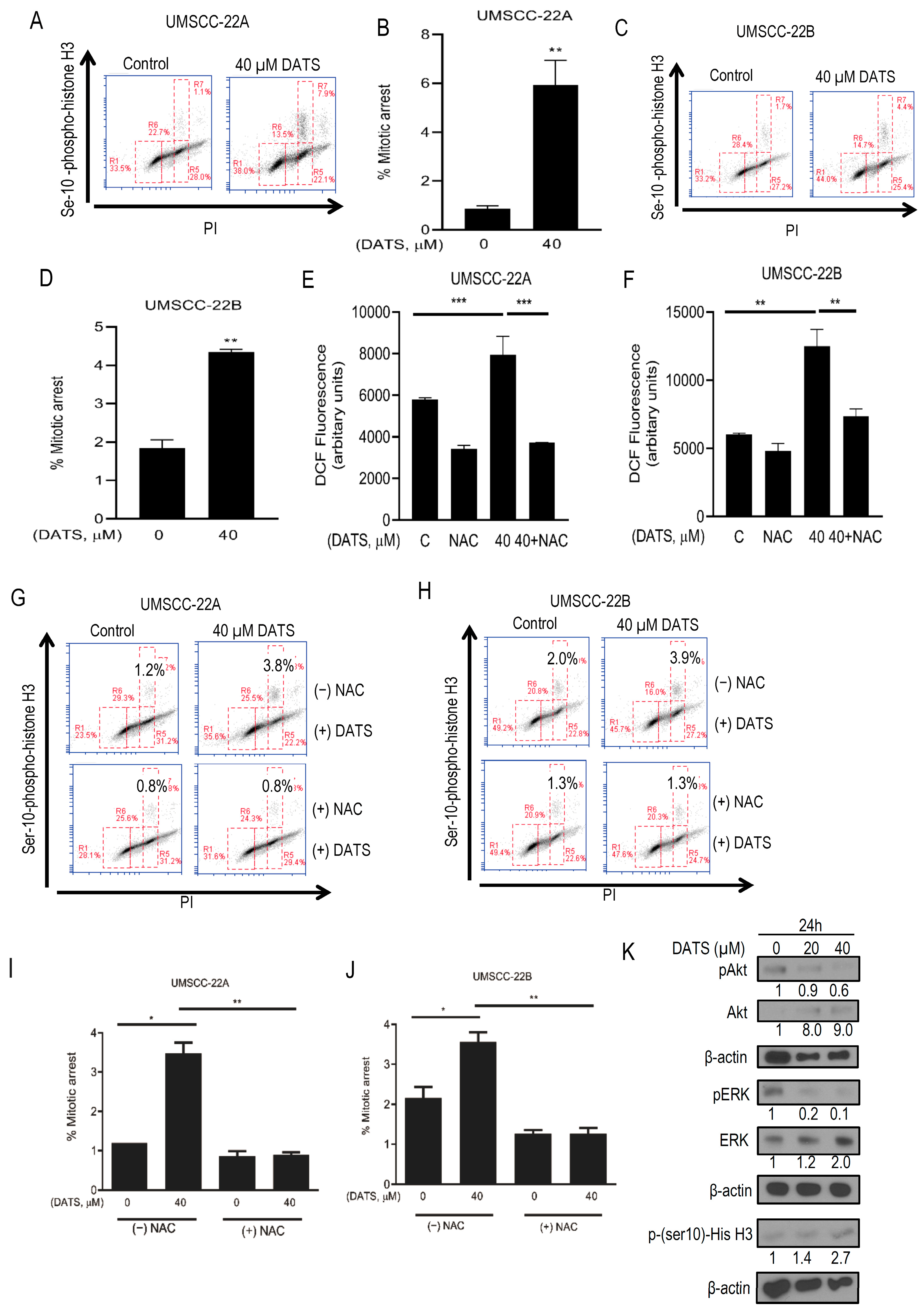 Cancers 16 00378 g002