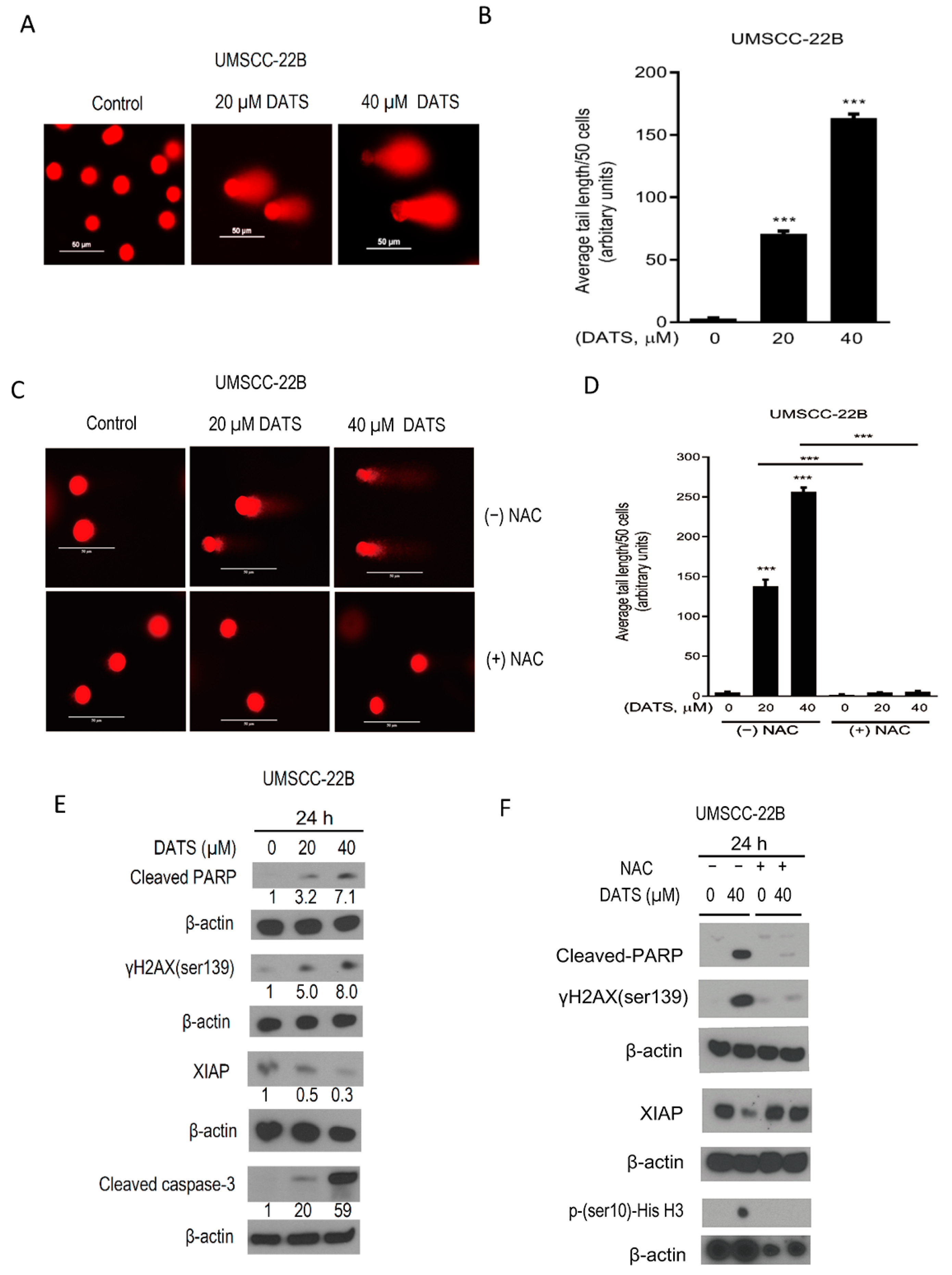 Cancers 16 00378 g004