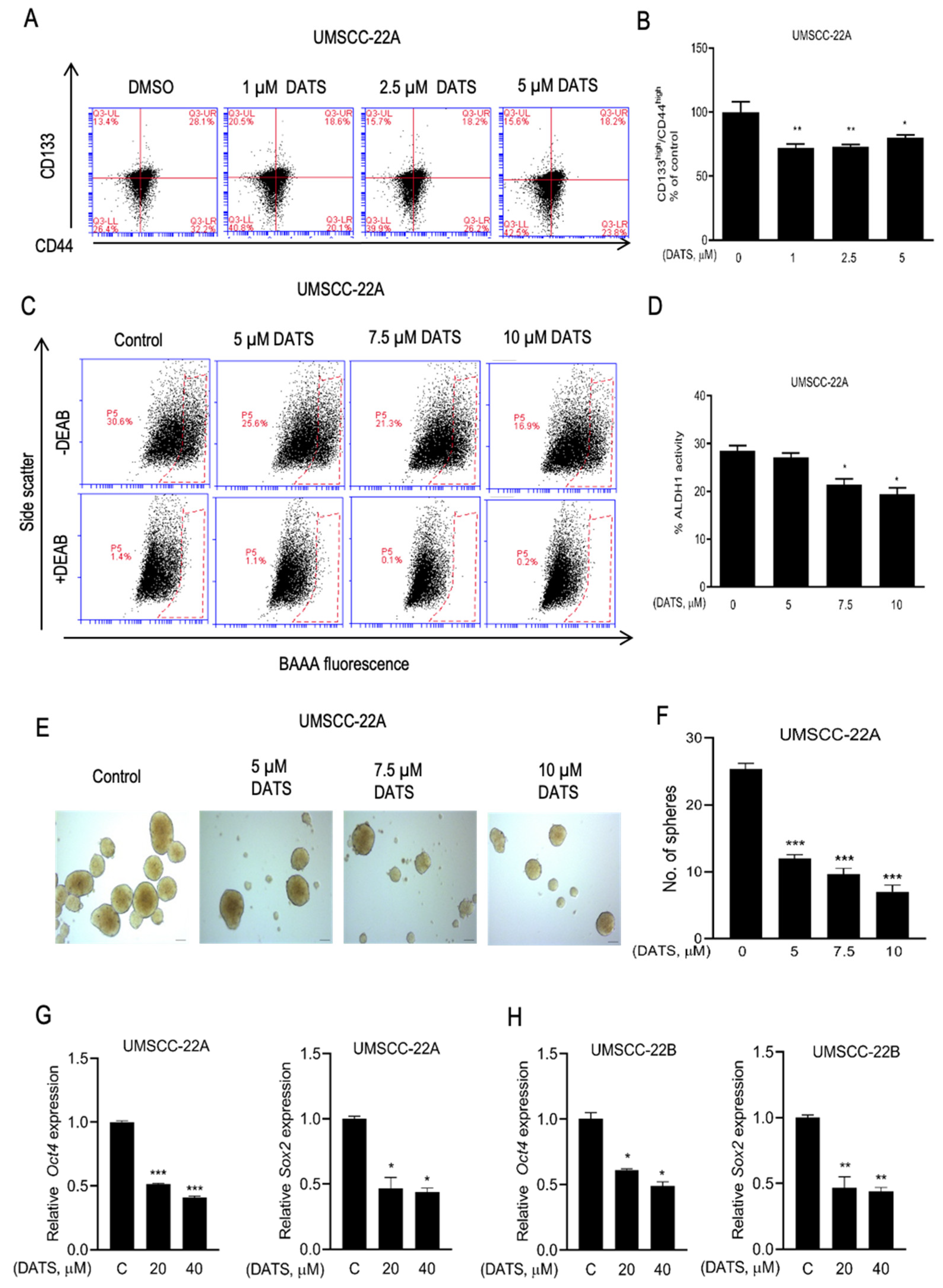 Cancers 16 00378 g005