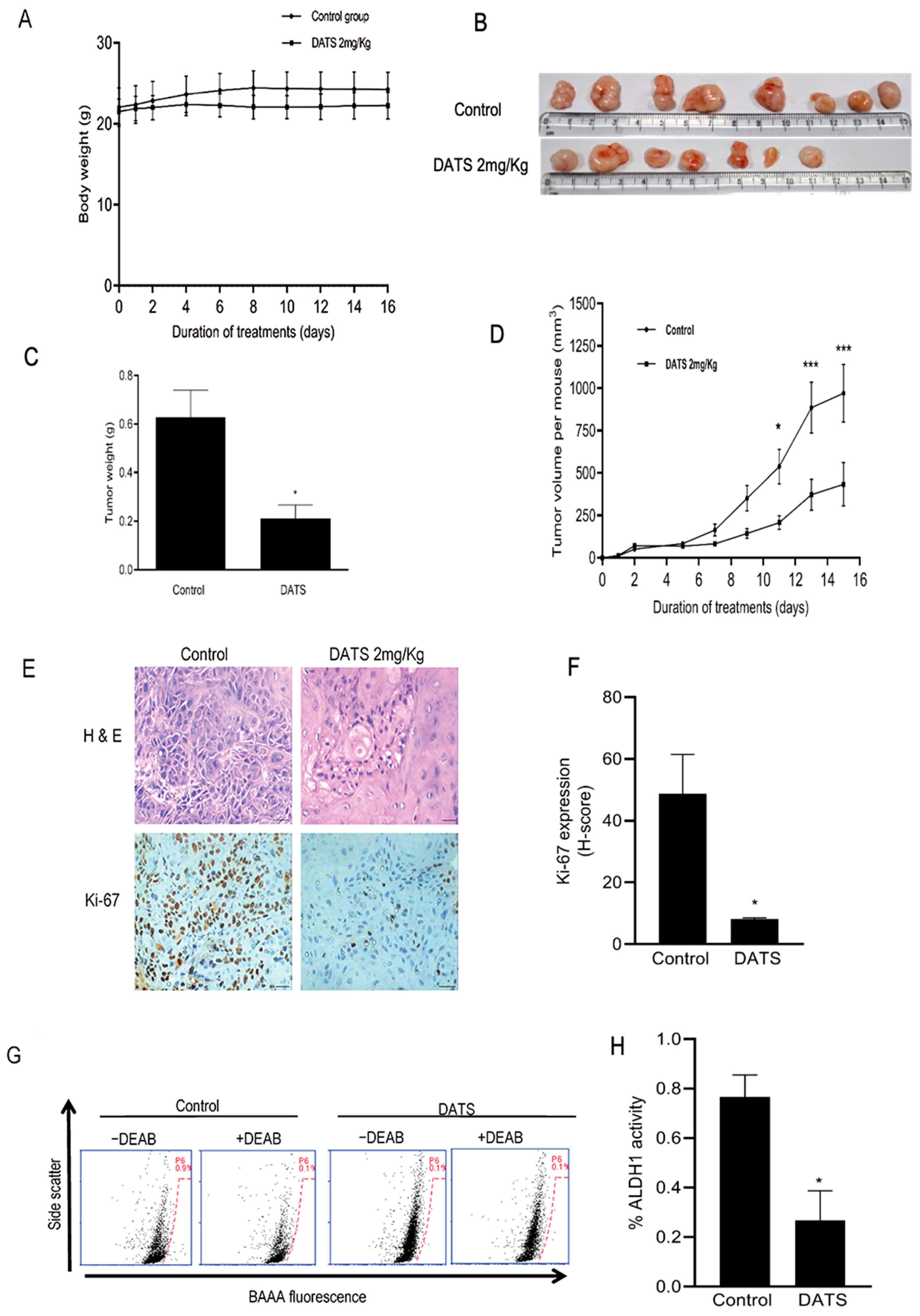 Cancers 16 00378 g006