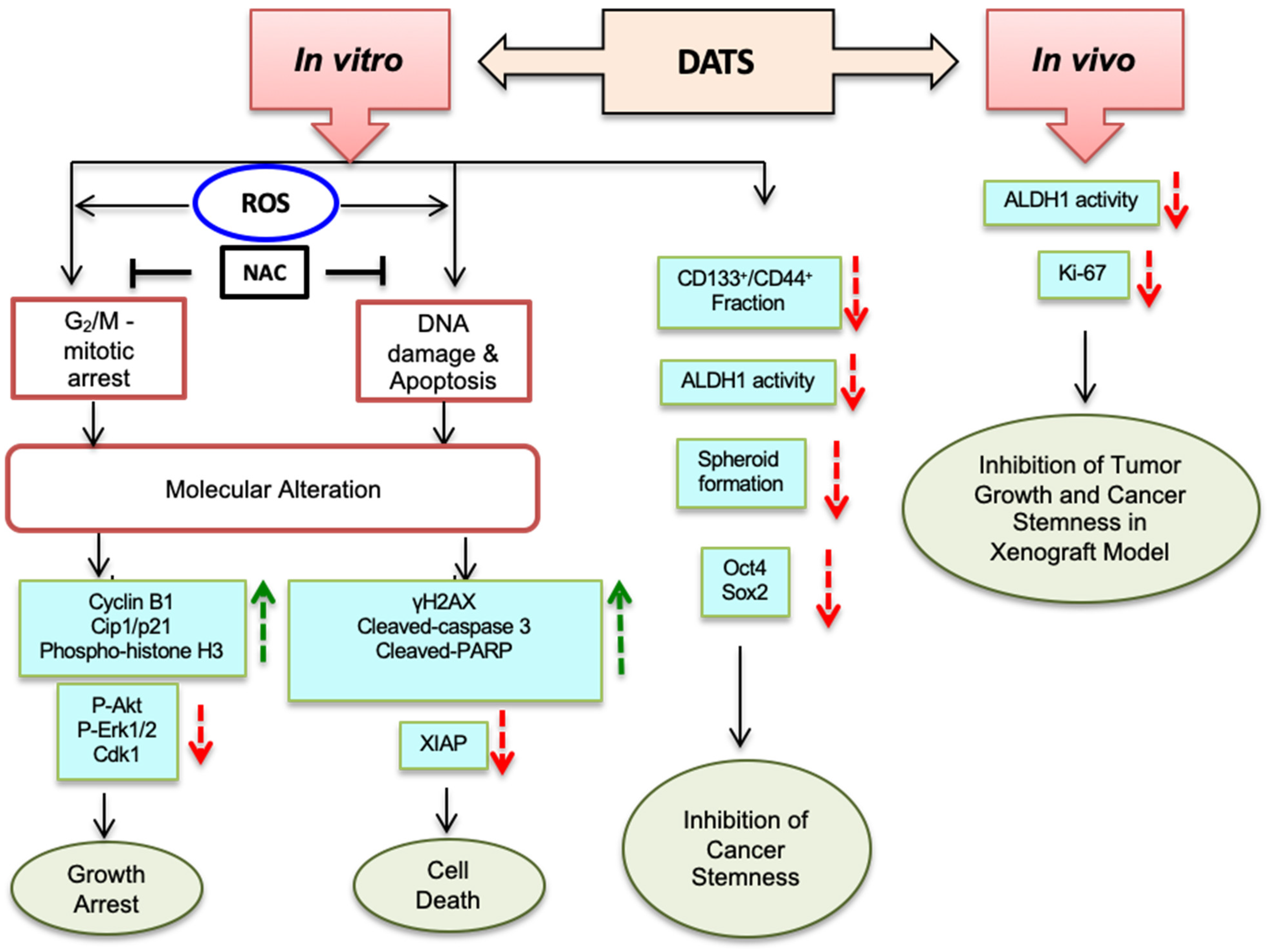 Cancers 16 00378 g007