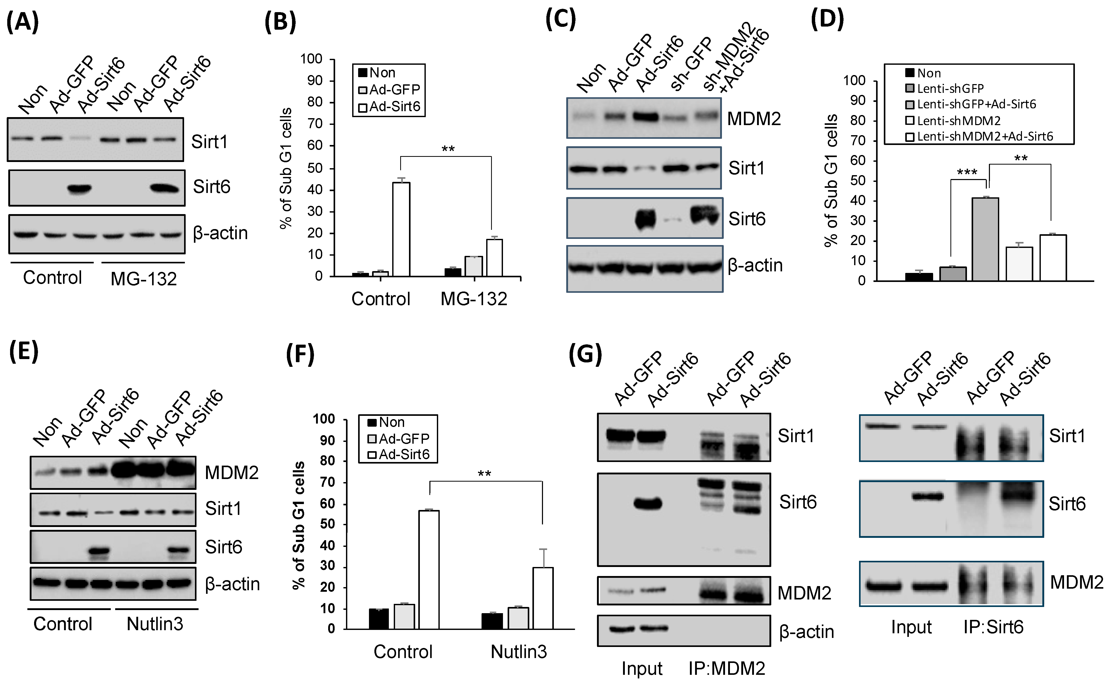 Cancers 16 00387 g005