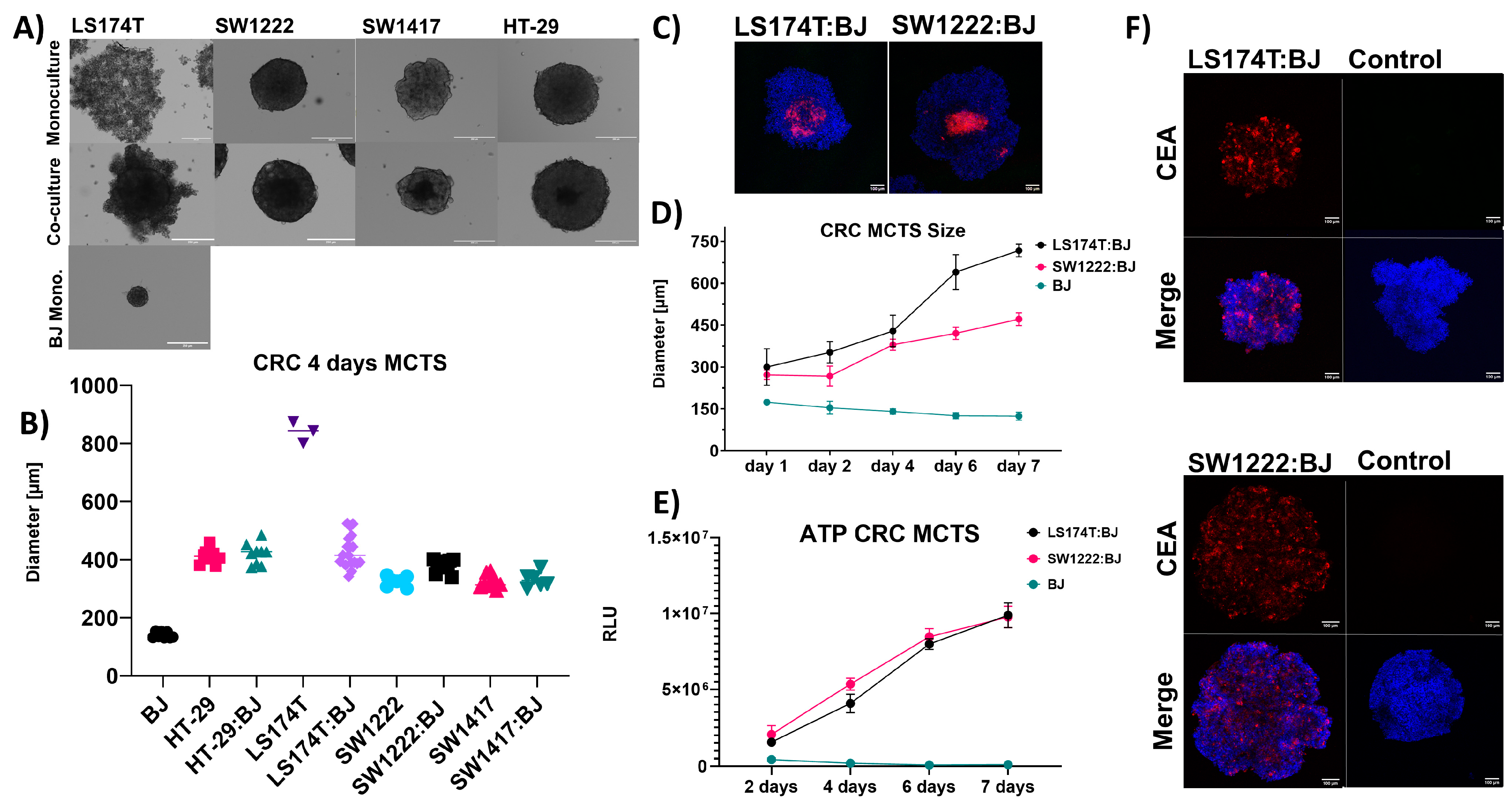 Cancers 16 00388 g005