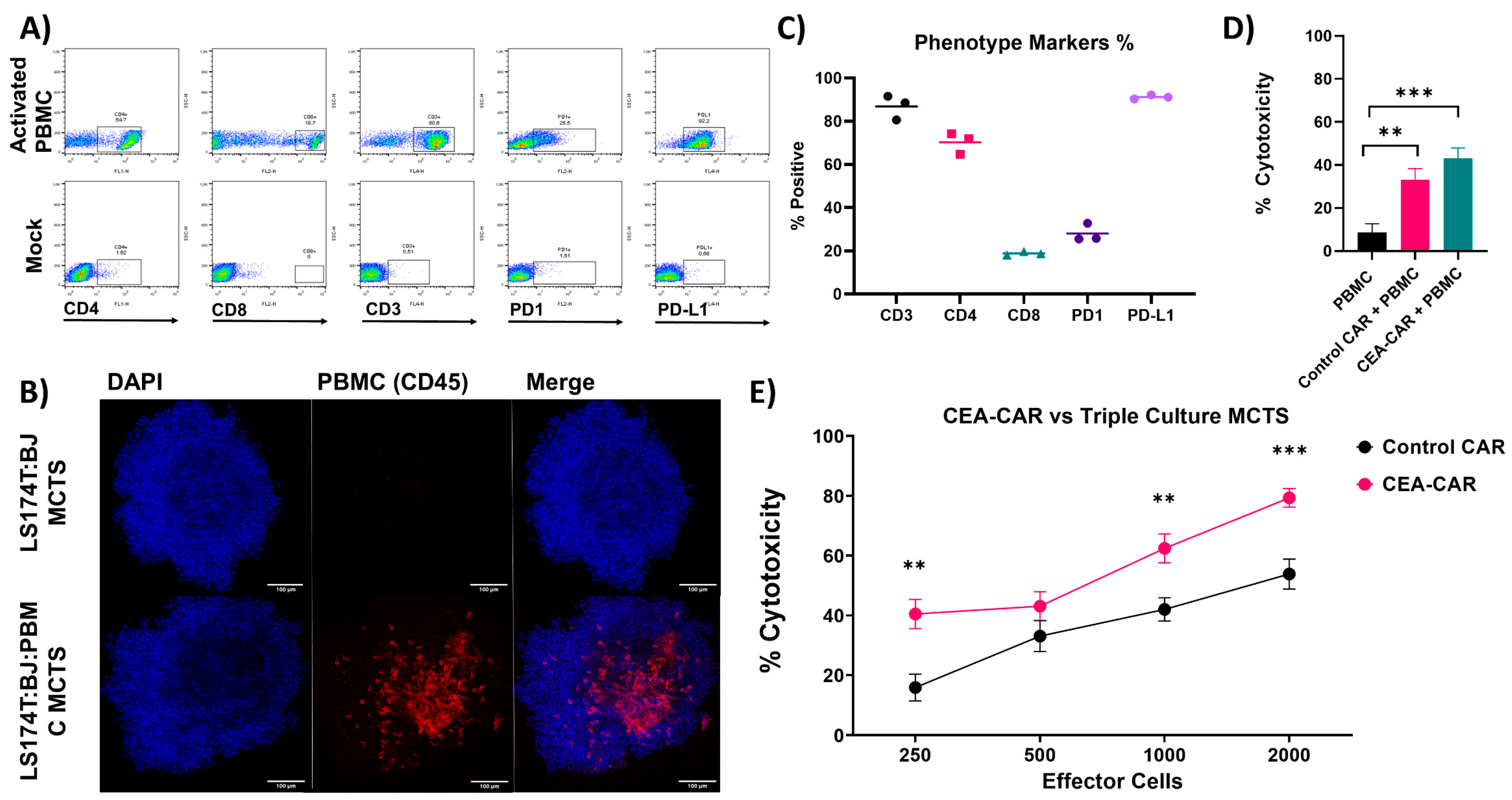 Cancers 16 00388 g007