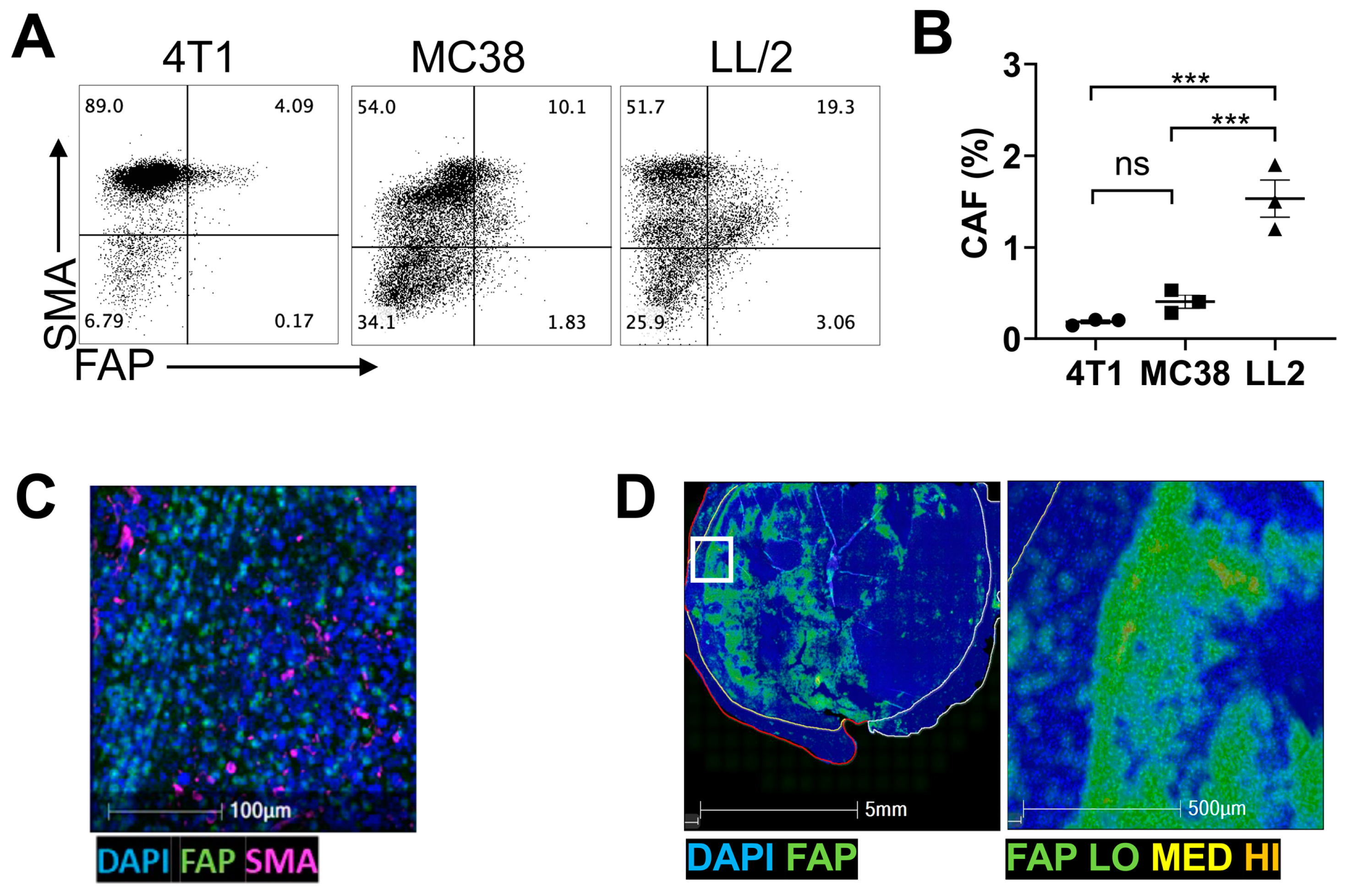 Cancers 16 00449 g001