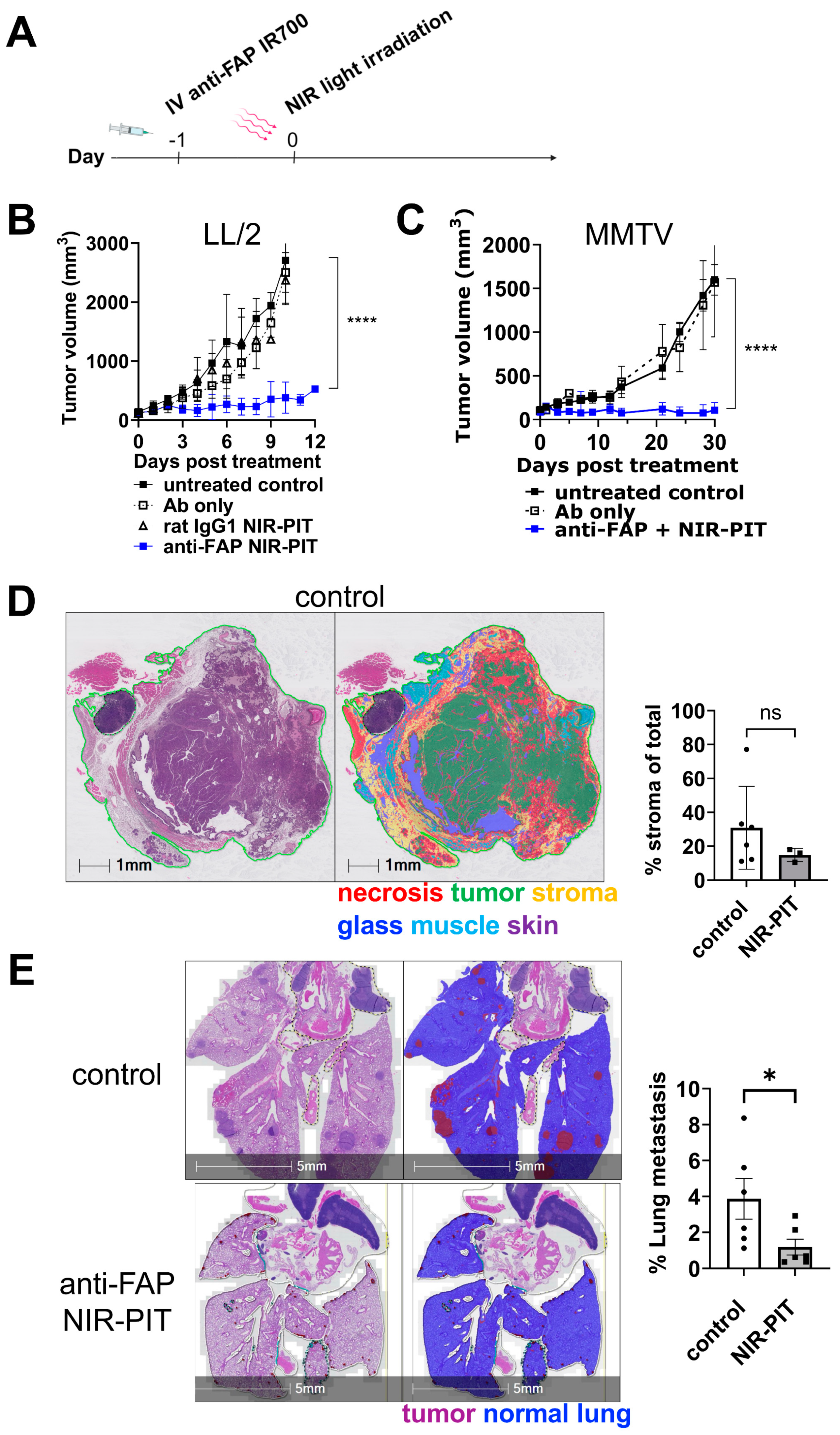Cancers 16 00449 g003