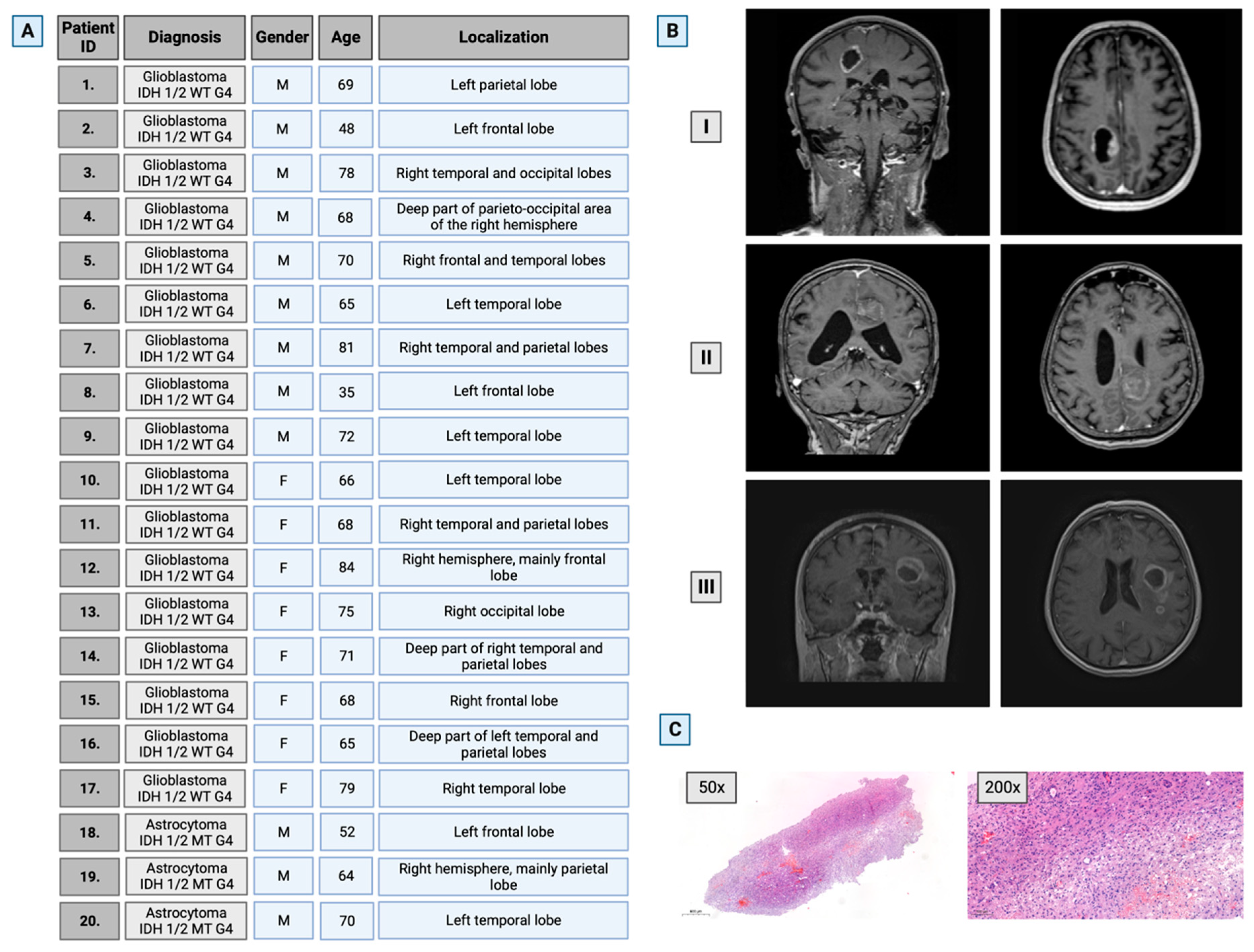 Cancers 16 00456 g001 Cancers 16 00456 g001
