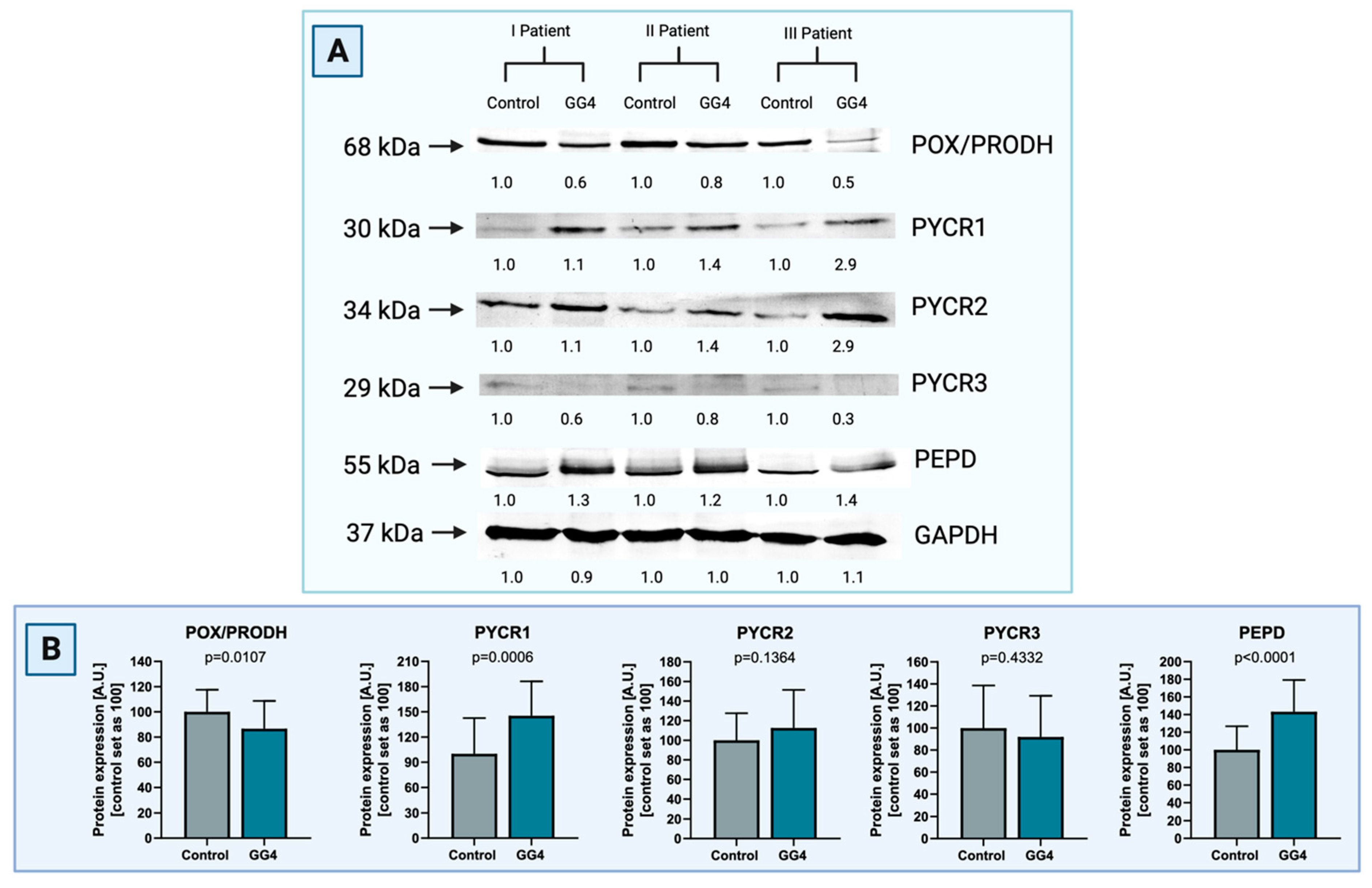 Cancers 16 00456 g003 Cancers 16 00456 g003