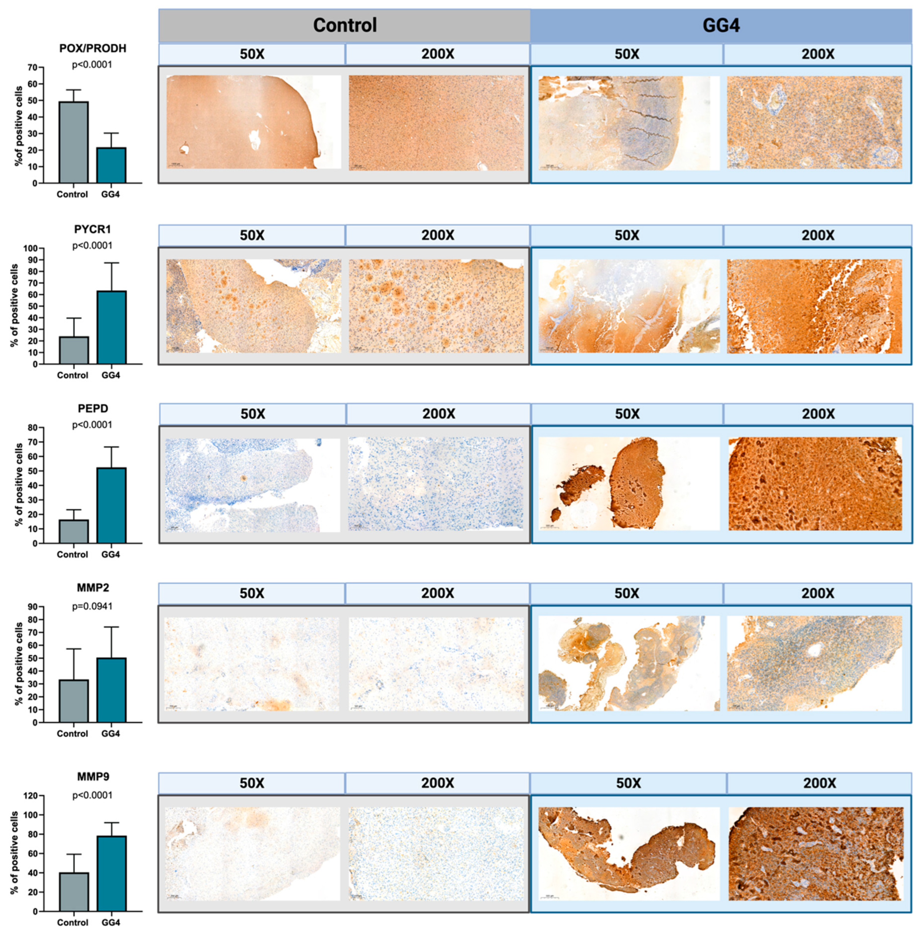 Cancers 16 00456 g005 Cancers 16 00456 g005