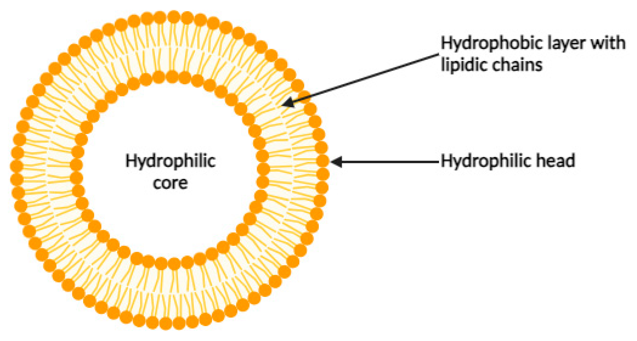 Cancers 16 00461 g001
