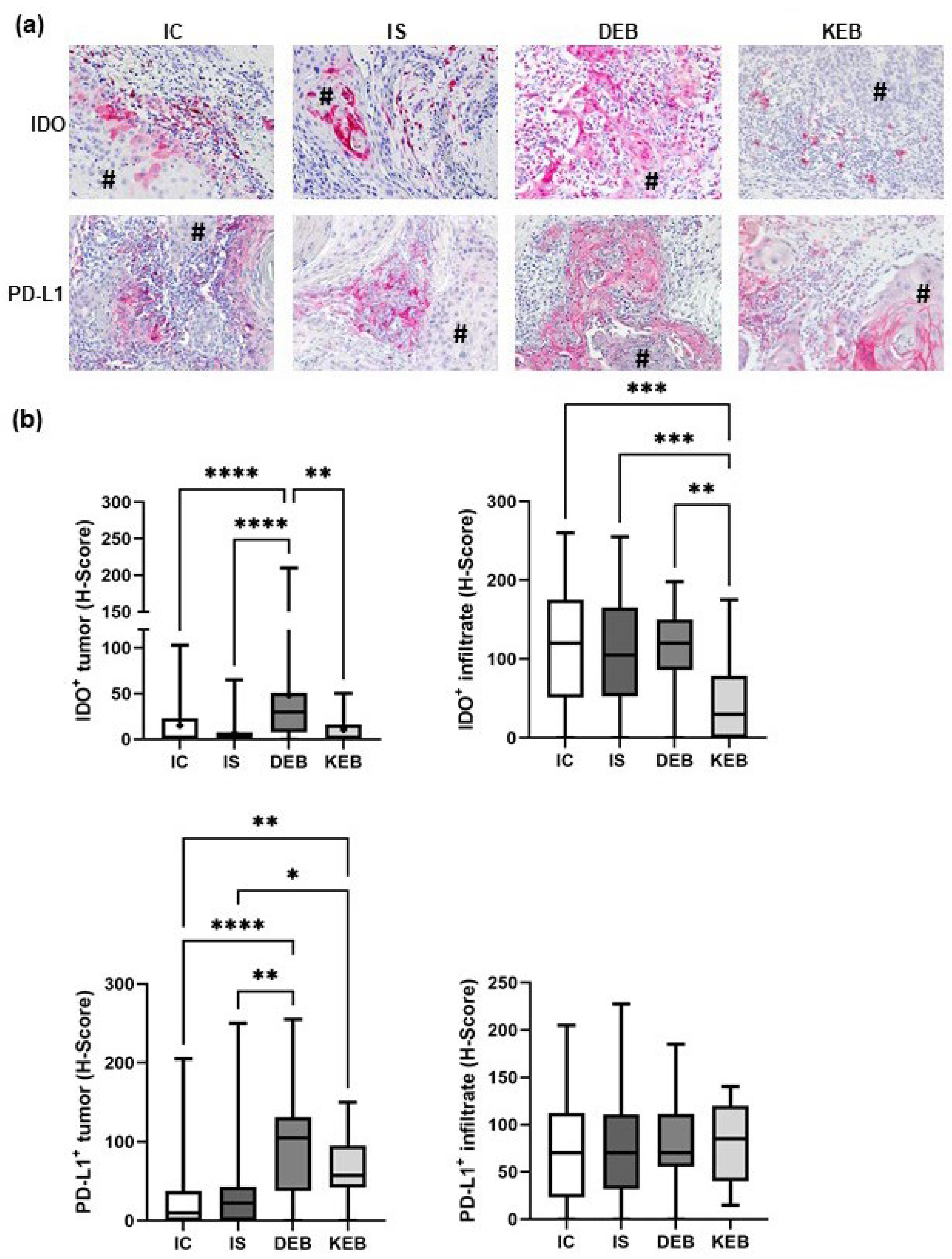 Cancers 16 00471 g002 Cancers 16 00471 g002
