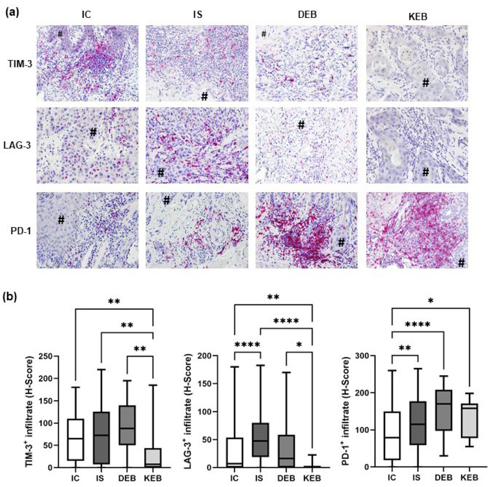 Cancers 16 00471 g004 Cancers 16 00471 g004