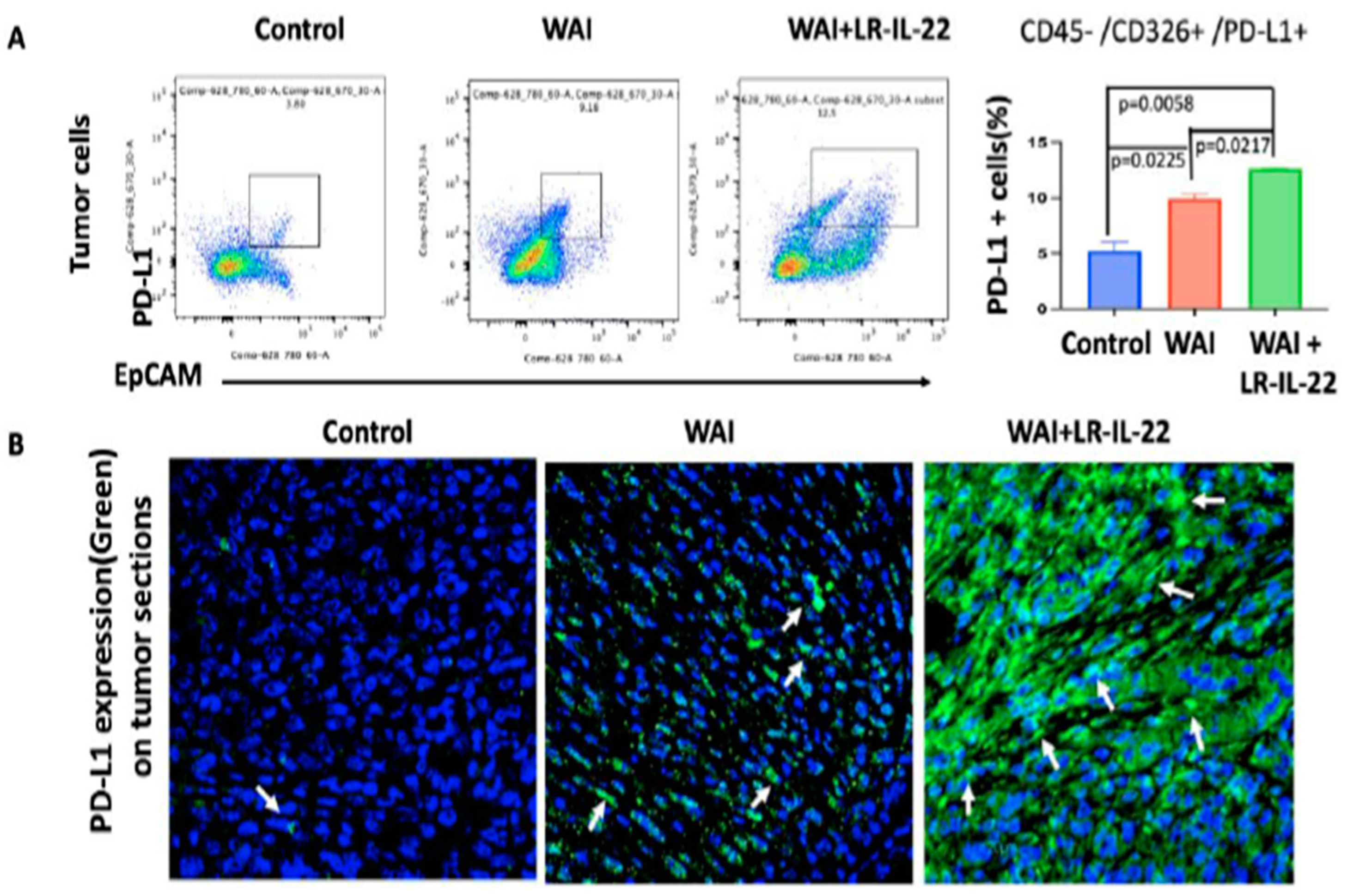 Cancers 16 00474 g005 Cancers 16 00474 g005