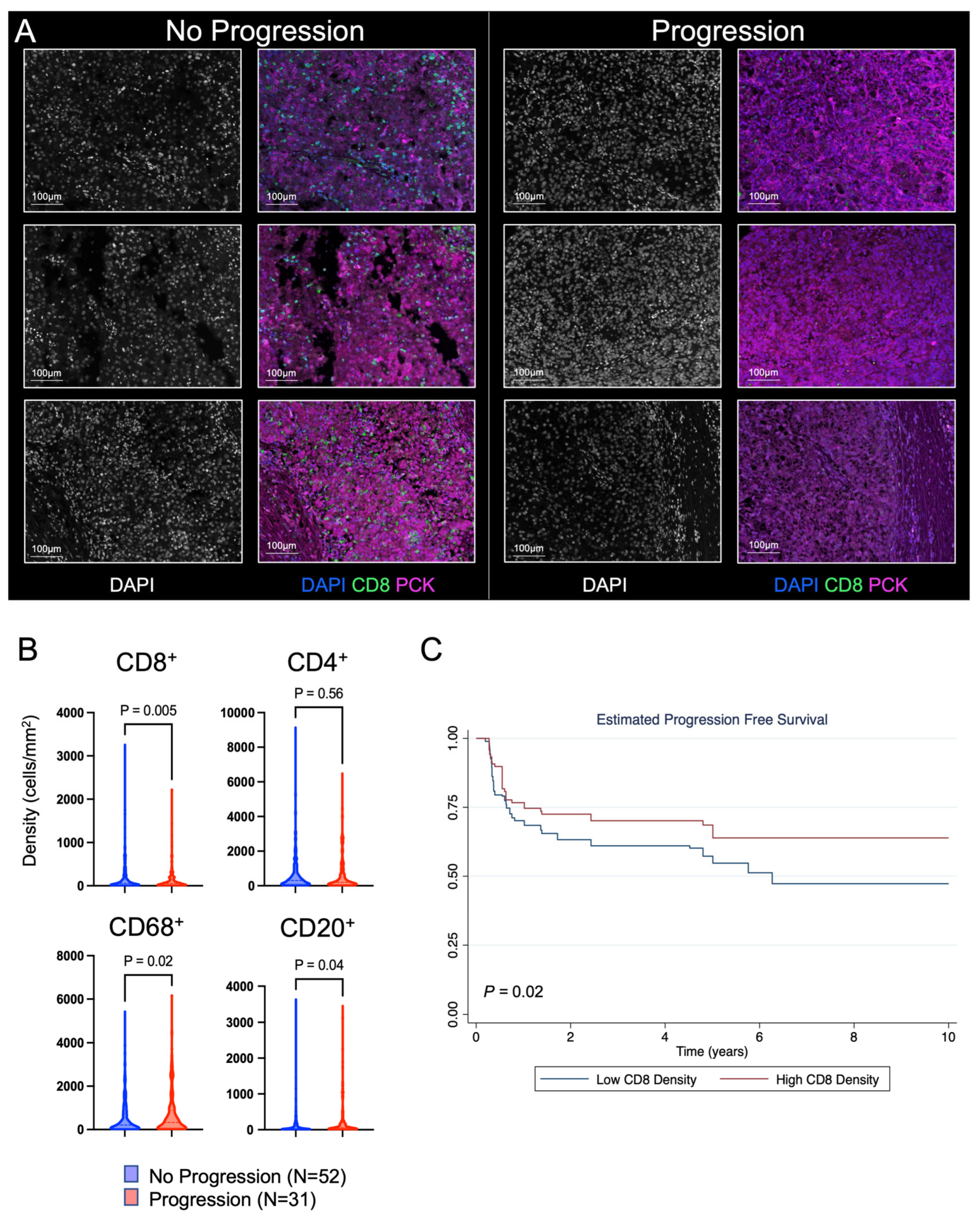 Cancers 16 00478 g002