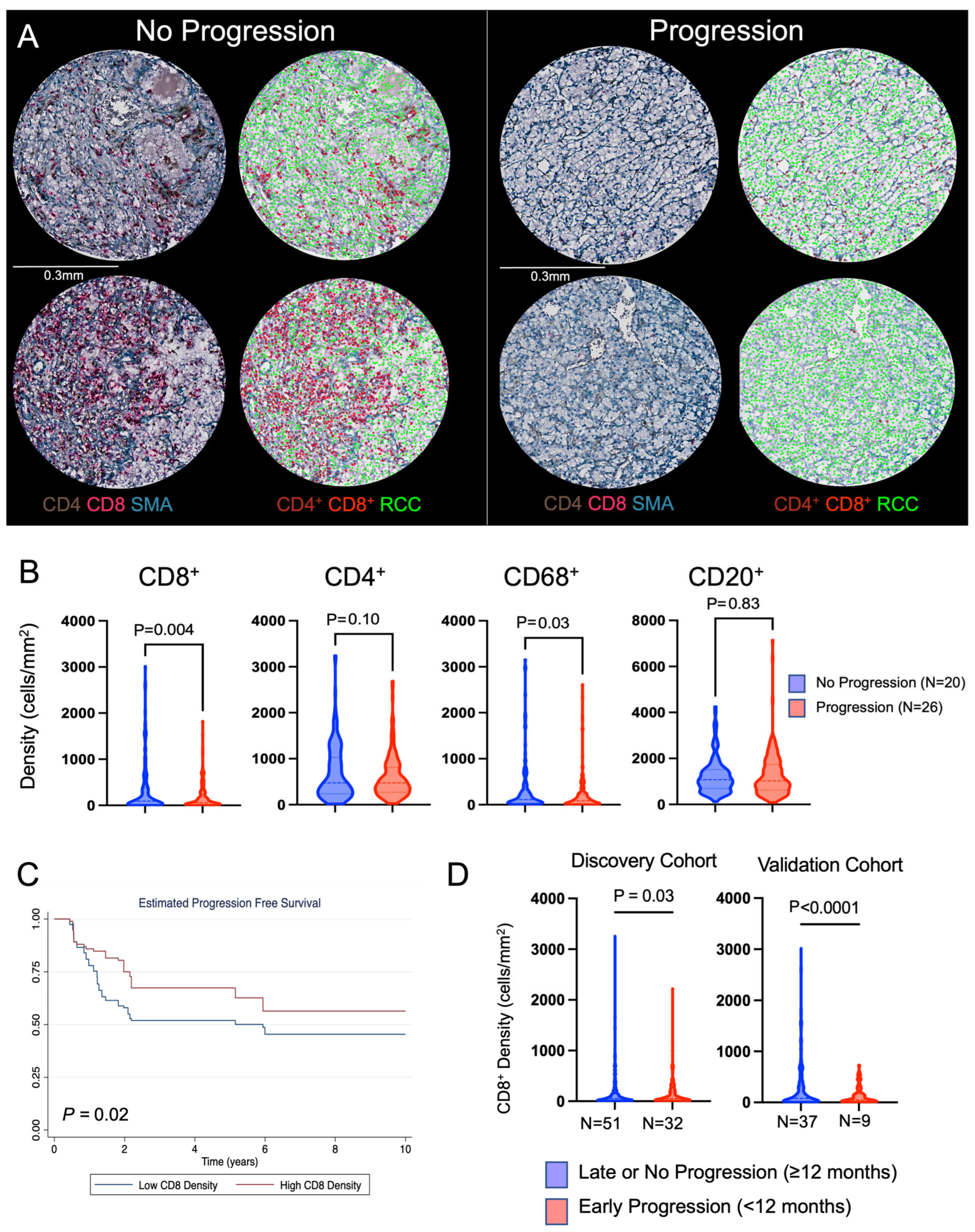 Cancers 16 00478 g003