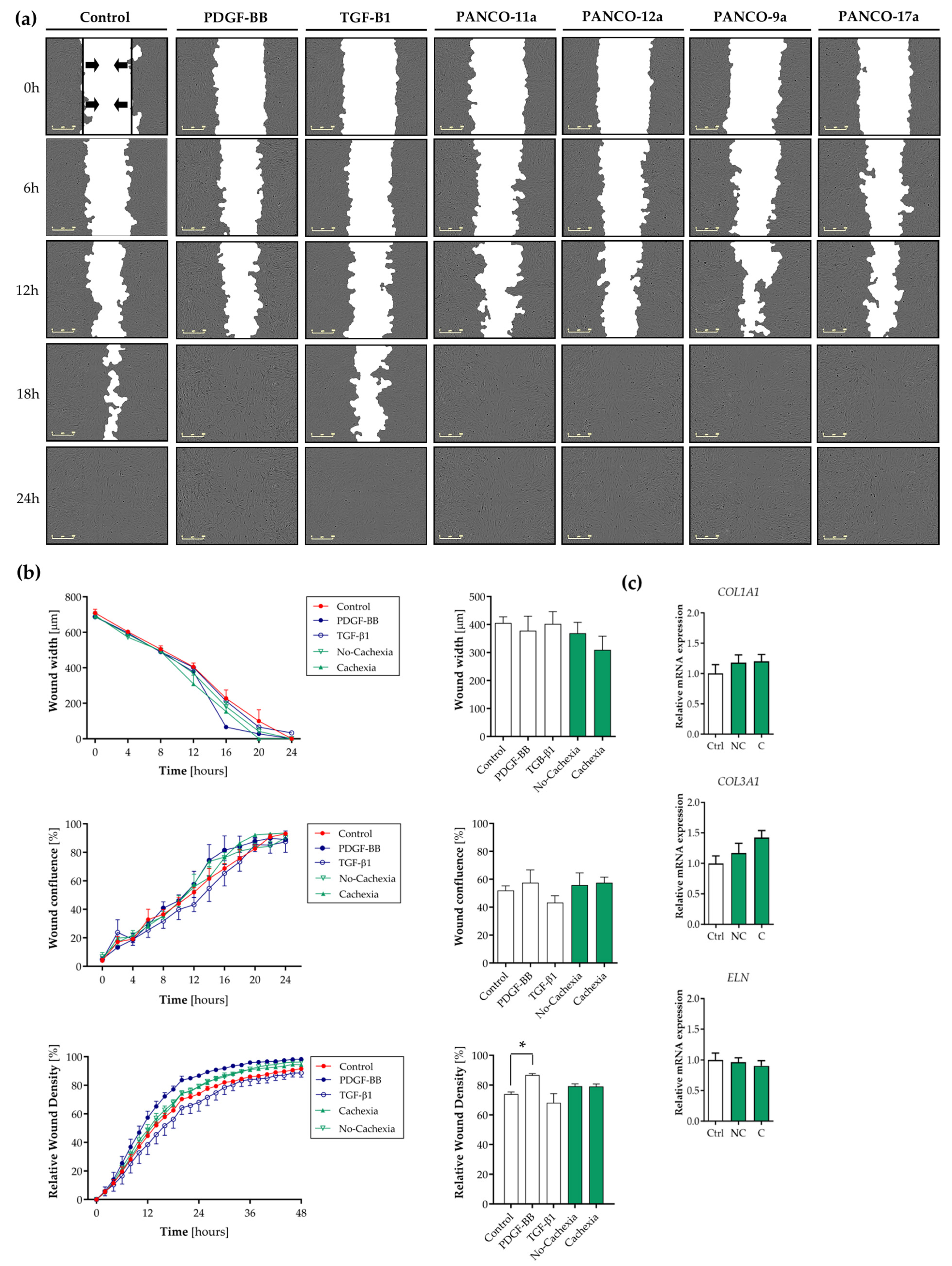 Cancers 16 00542 g003