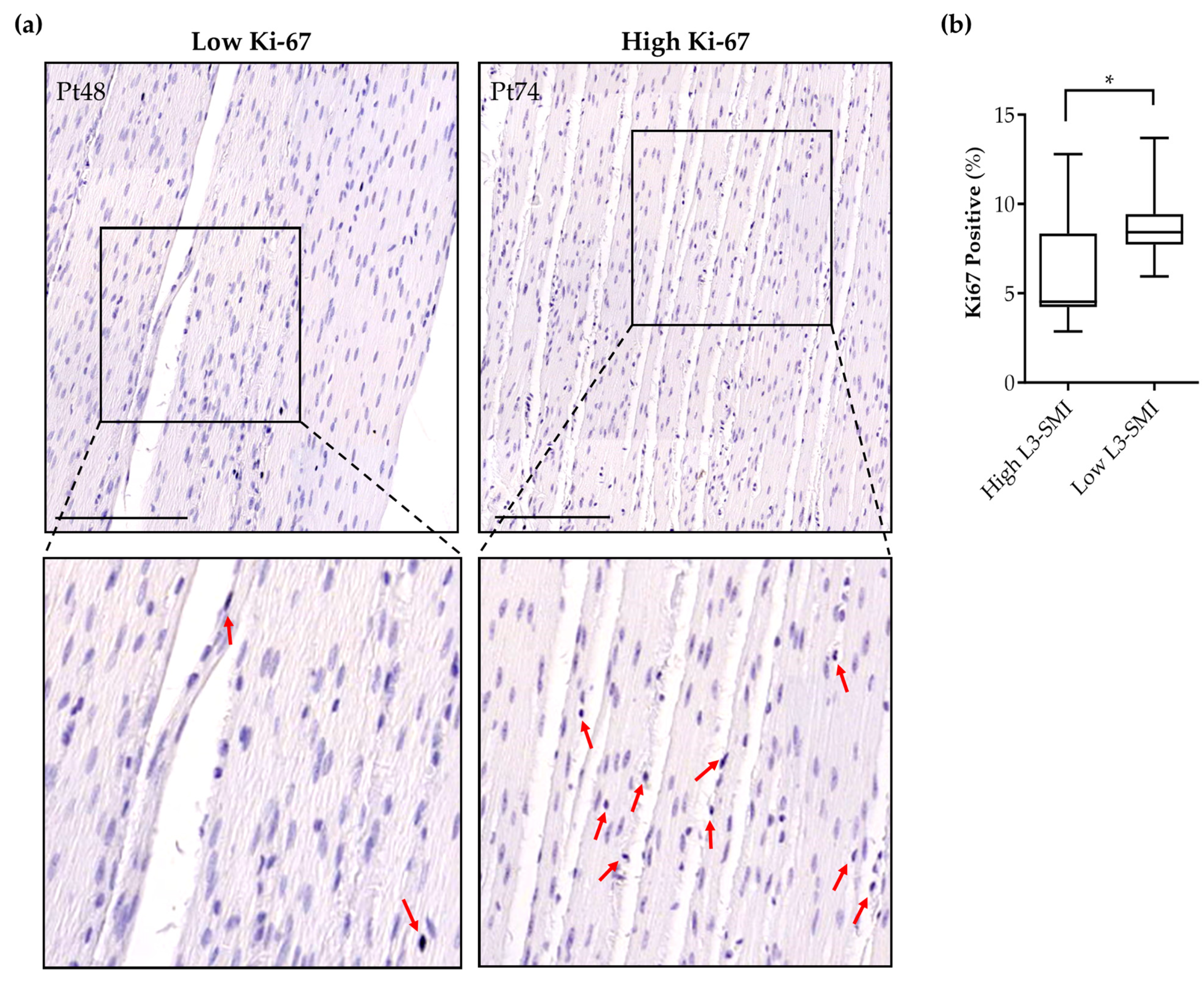 Cancers 16 00542 g005