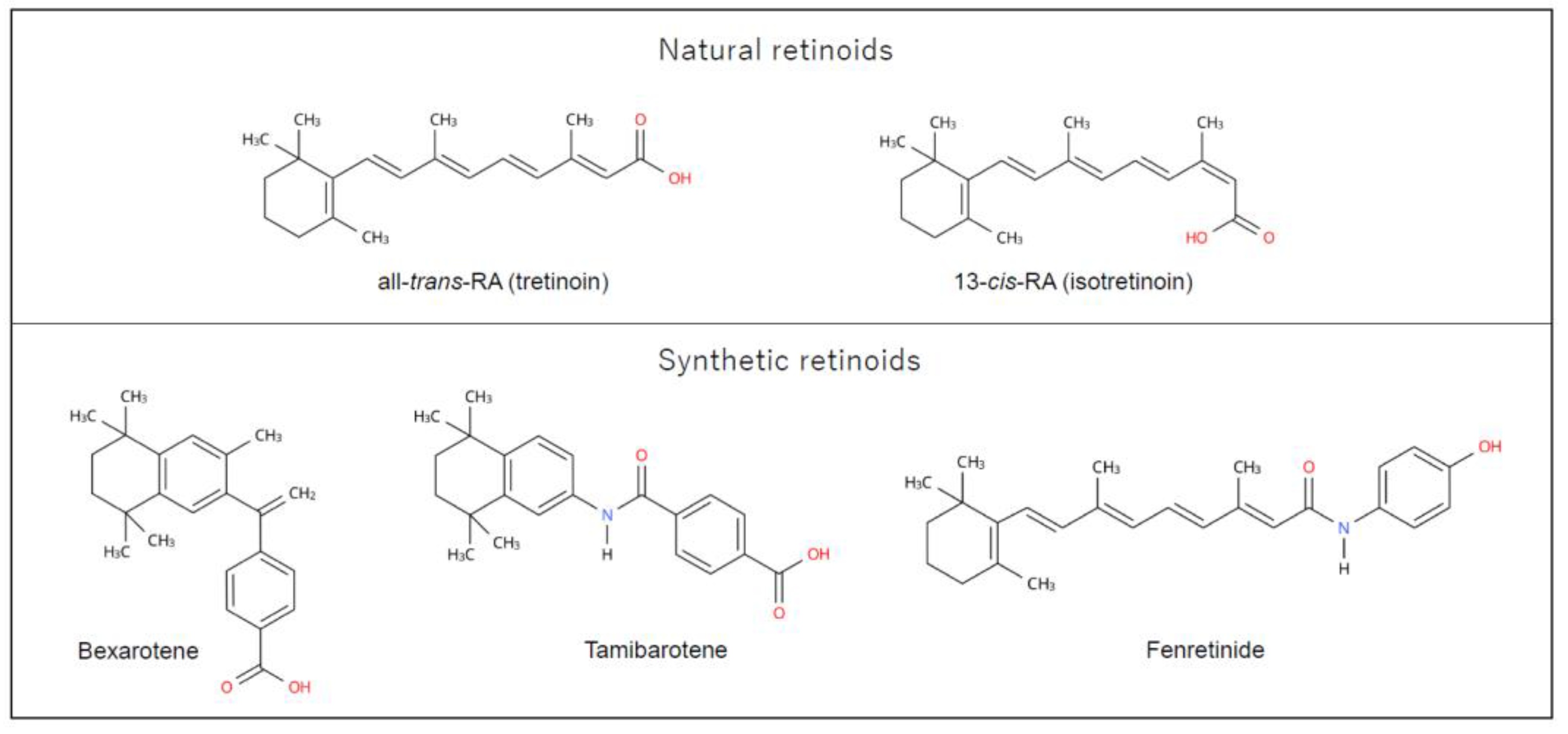 Cancers 16 00544 g001 Cancers 16 00544 g001