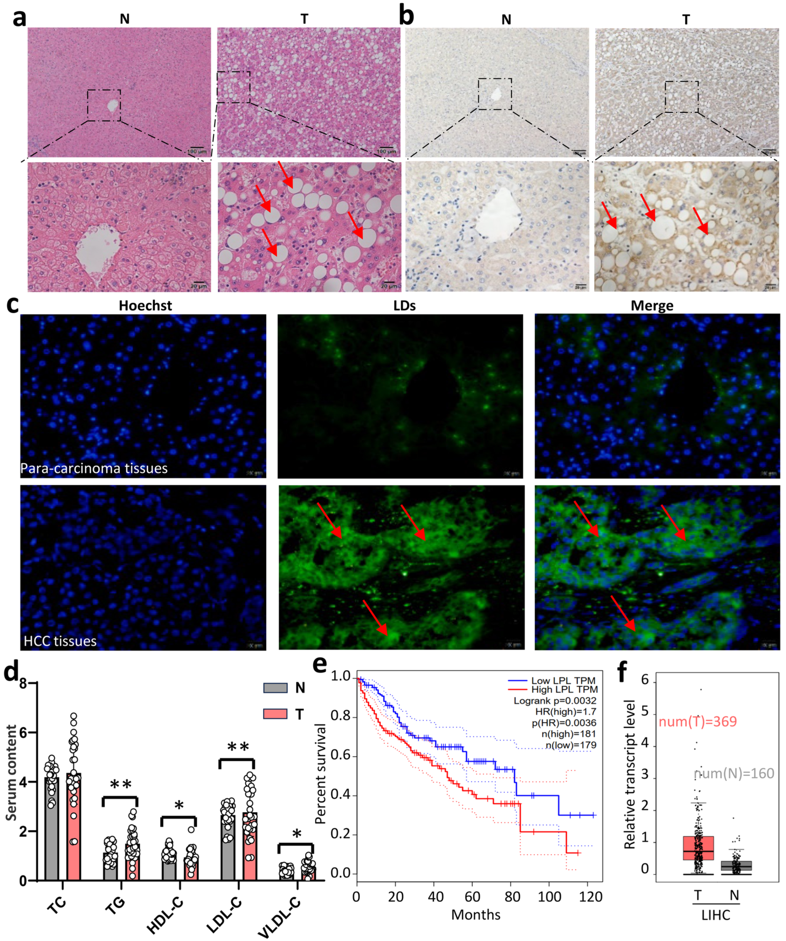 Cancers 16 00550 g001