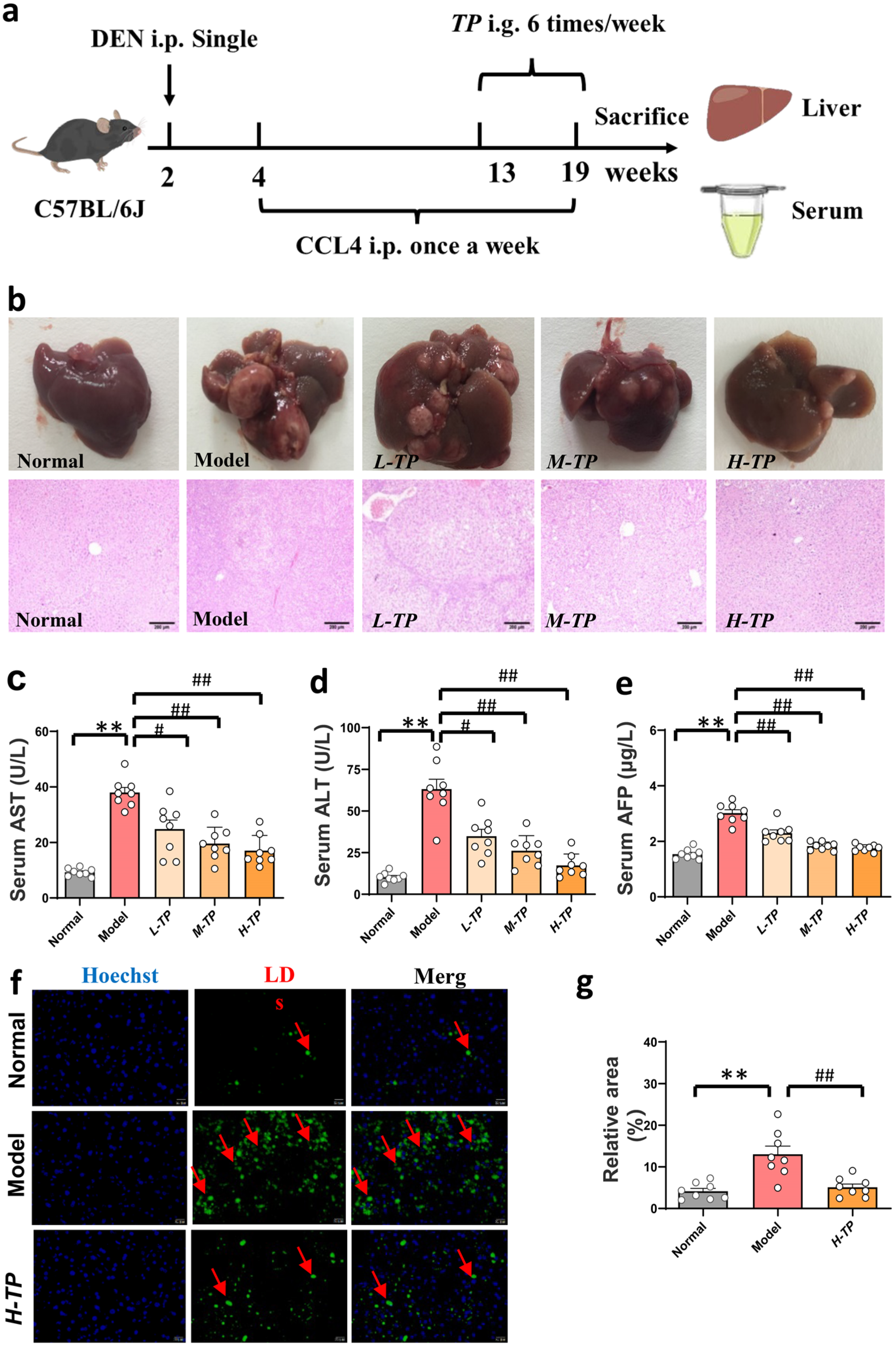 Cancers 16 00550 g002
