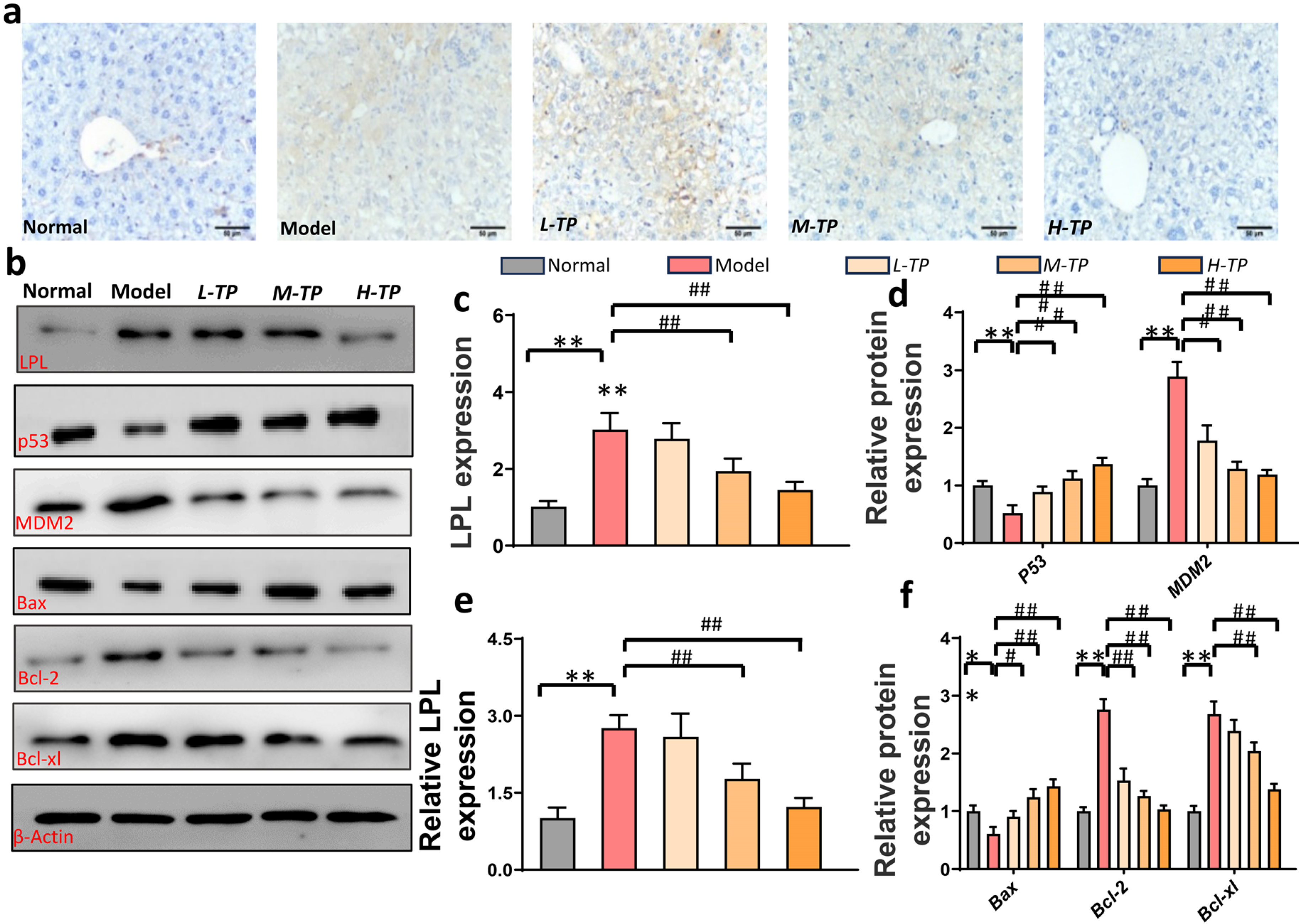 Cancers 16 00550 g003