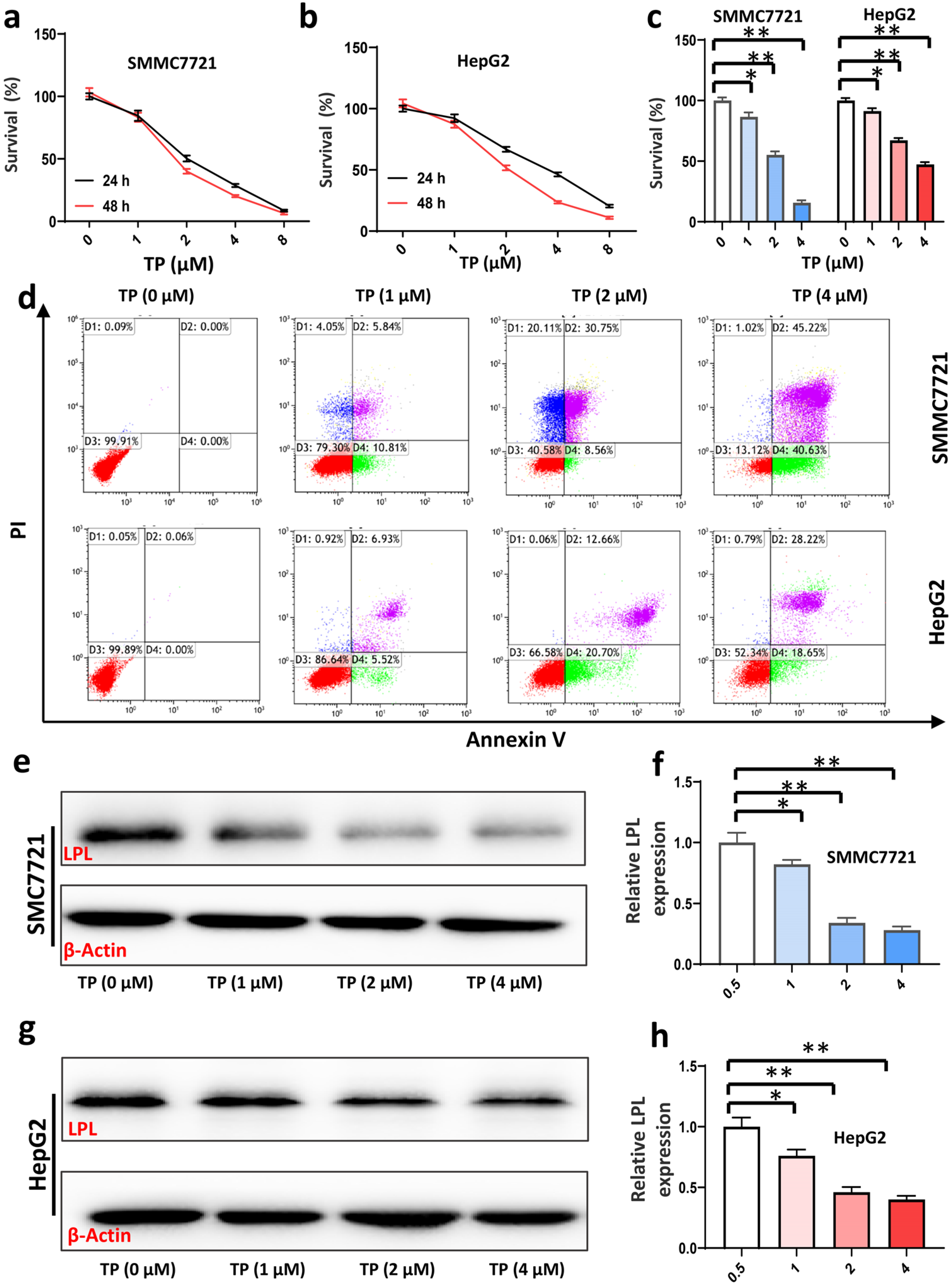 Cancers 16 00550 g004