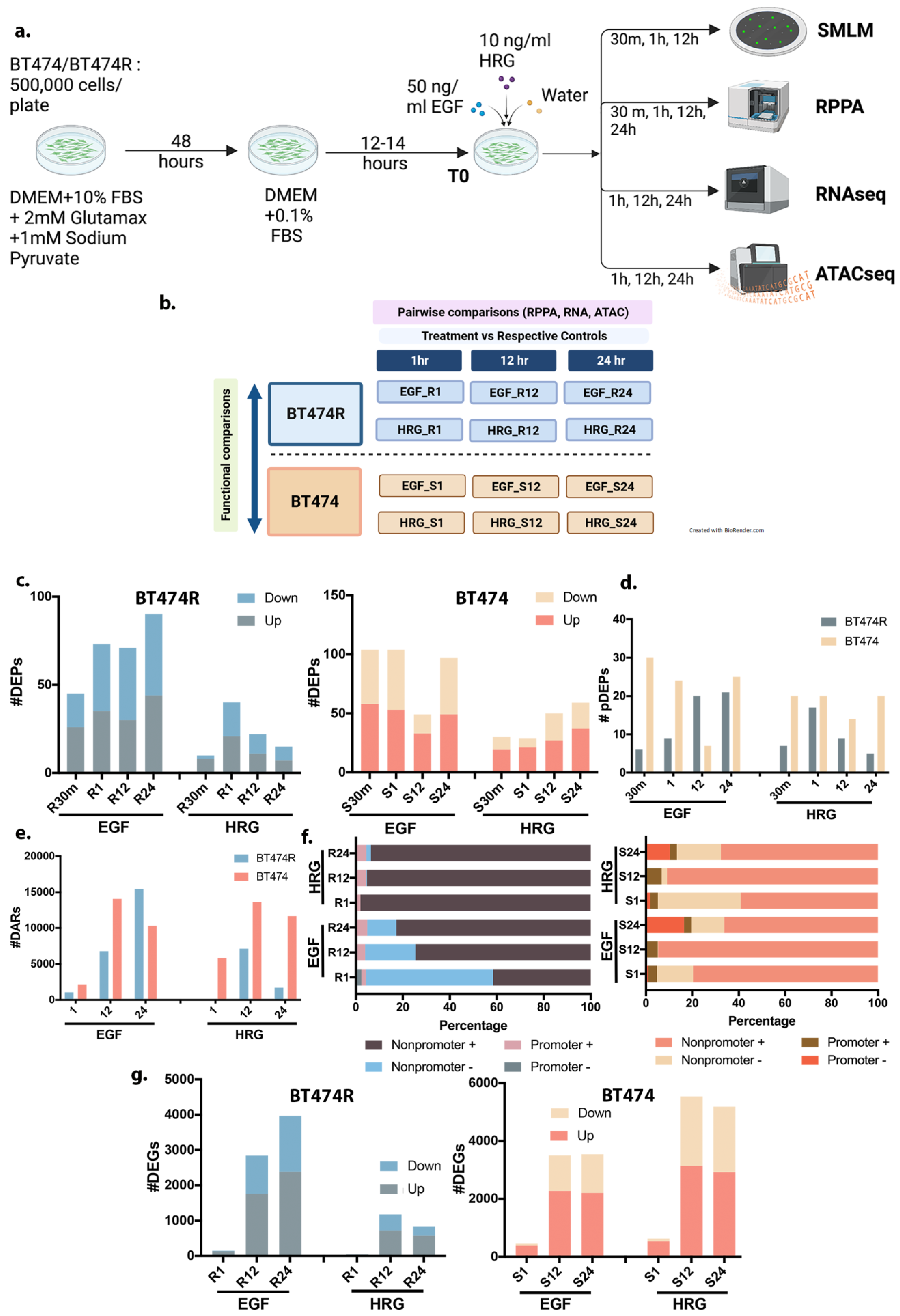 Cancers 16 00553 g001