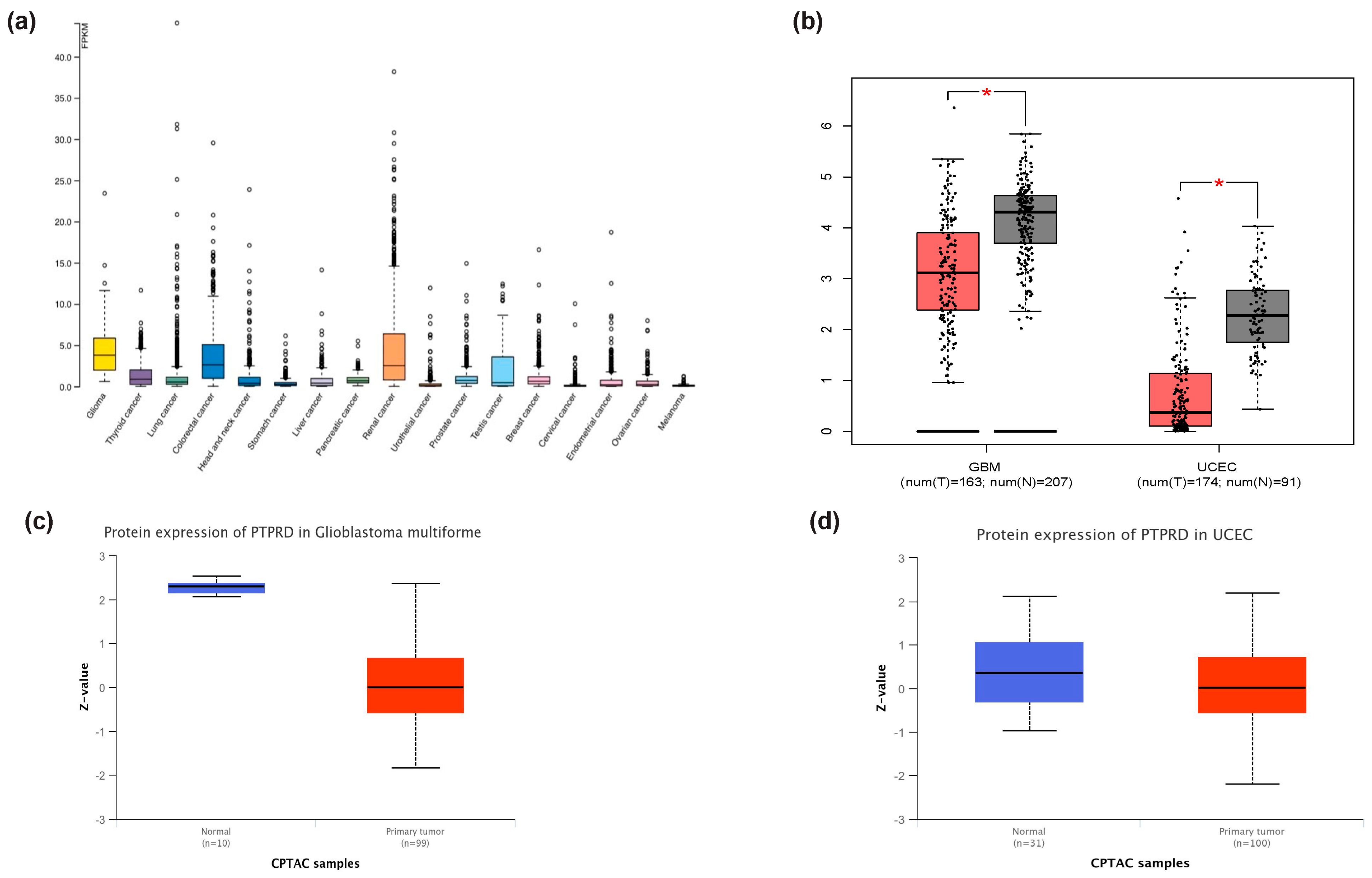 Cancers 16 00582 g003